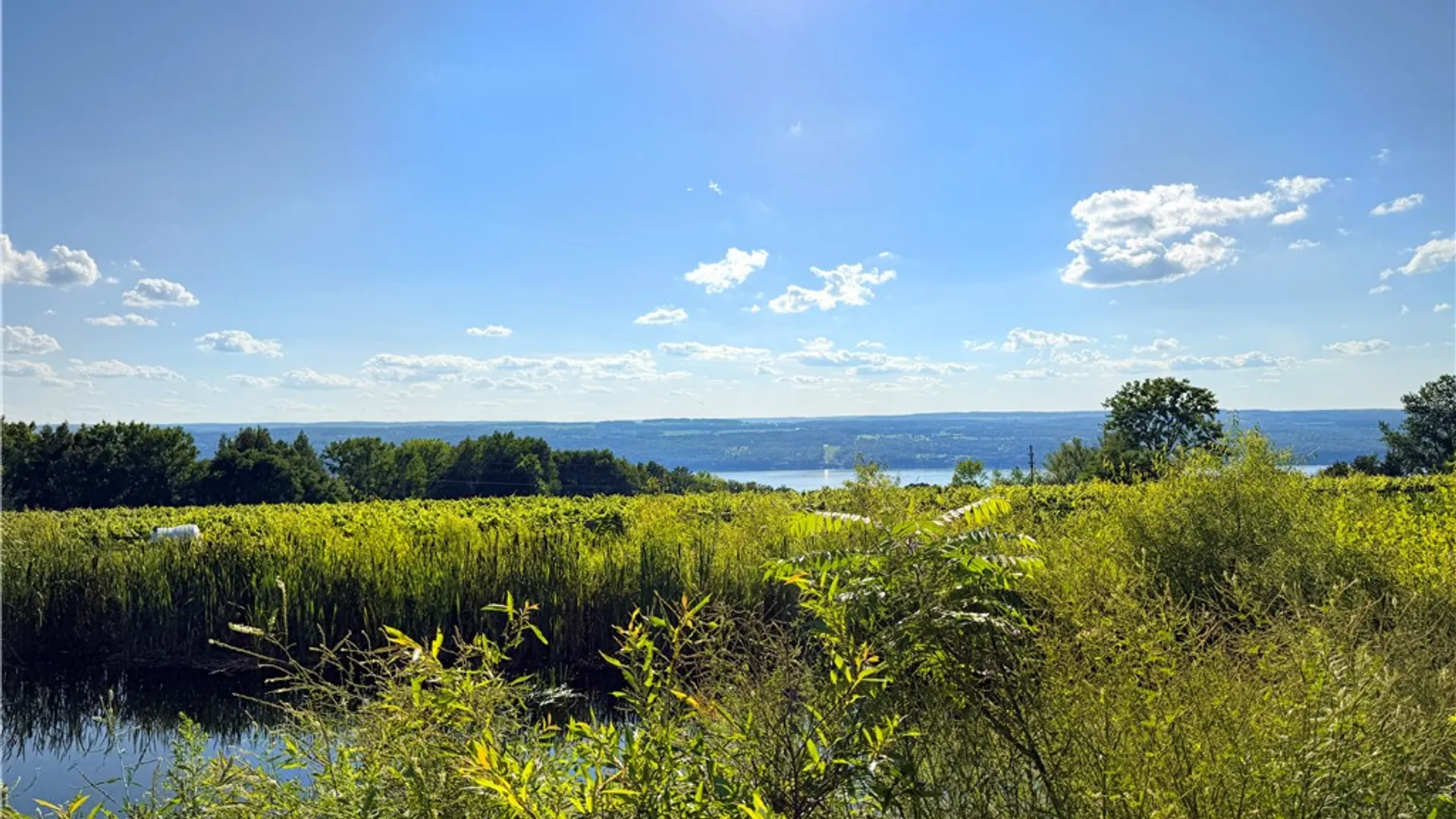 Property at Cr-1, Hector, NY 14841 8