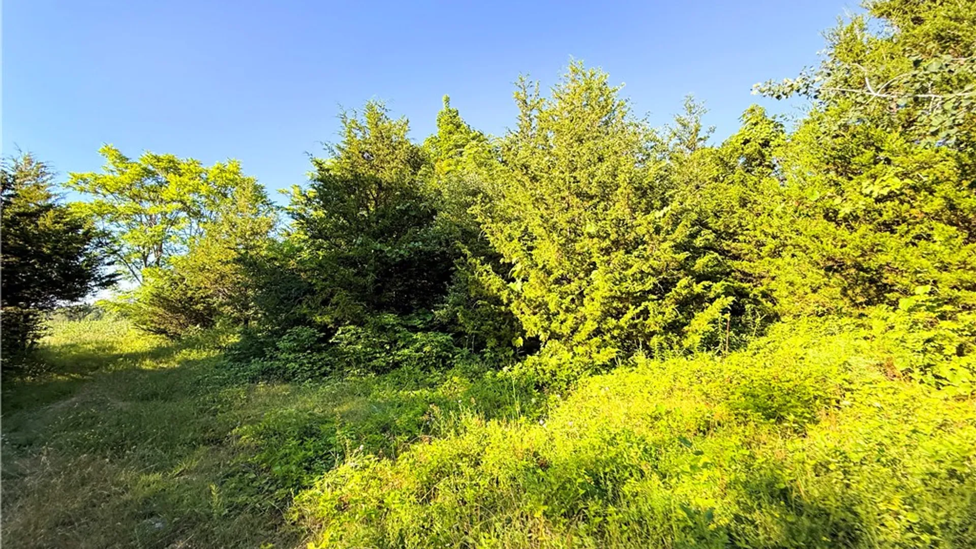 Property at Cr-1, Hector, NY 14841 11