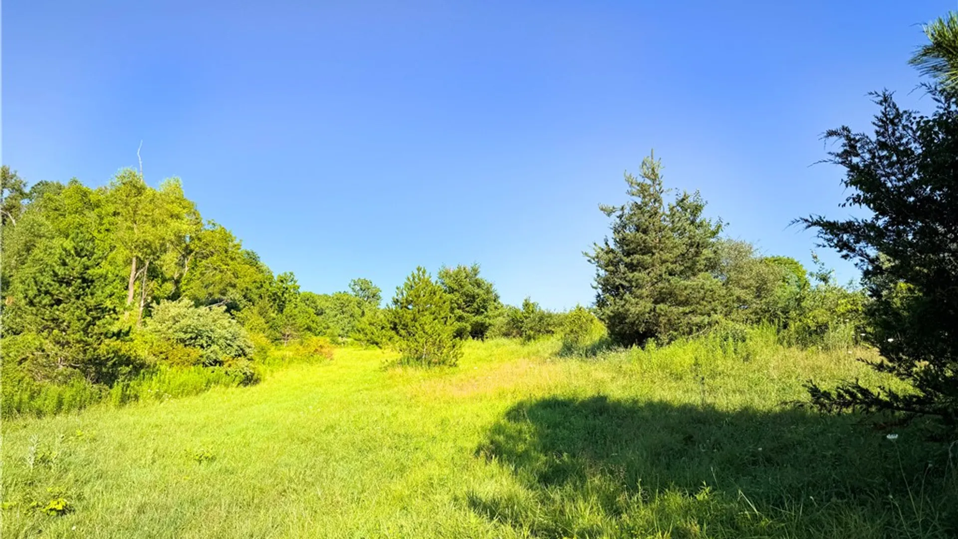 Property at Cr-1, Hector, NY 14841 37