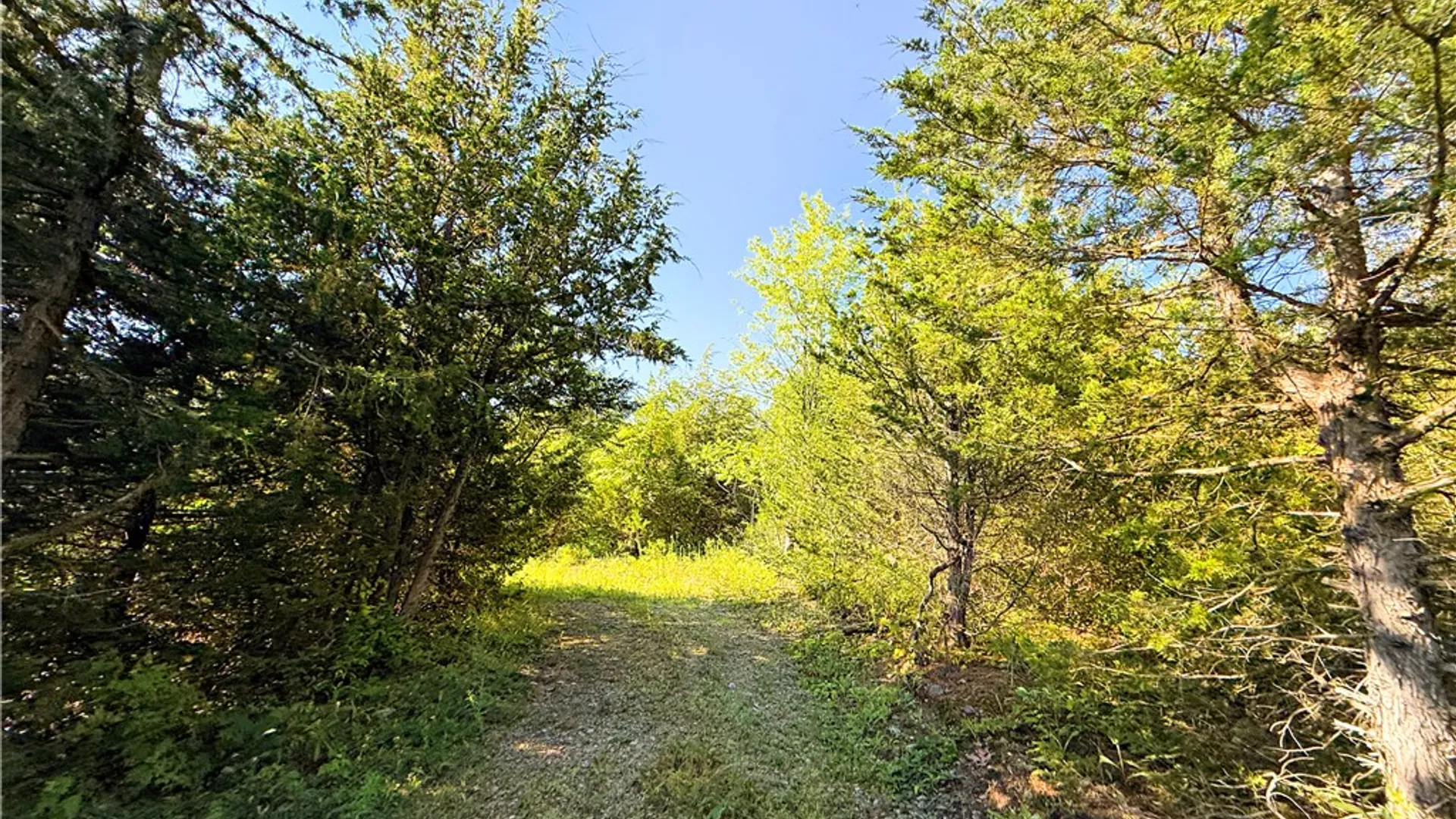 Property at Cr-1, Hector, NY 14841 38