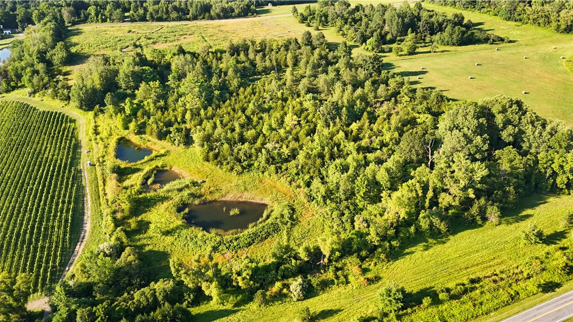 Property at Cr-1, Hector, NY 14841 39