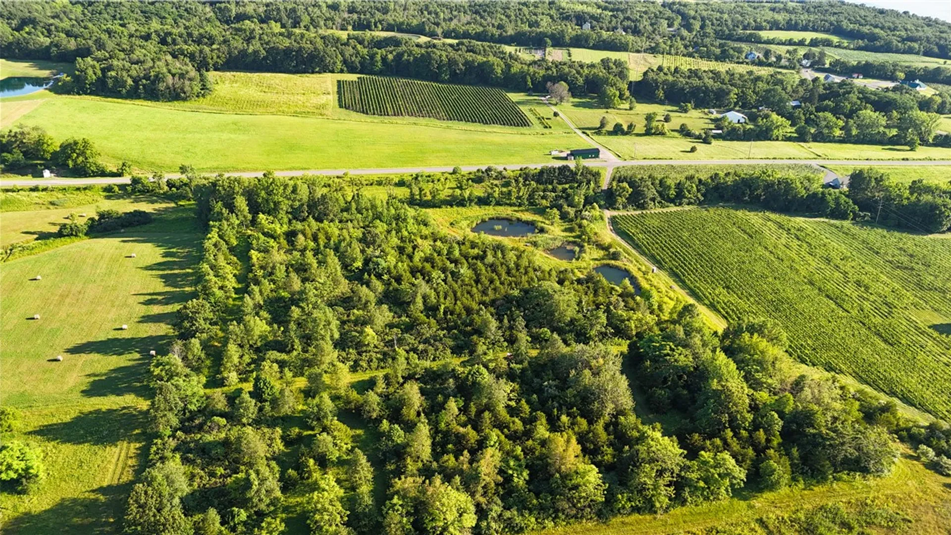 Property at Cr-1, Hector, NY 14841 29