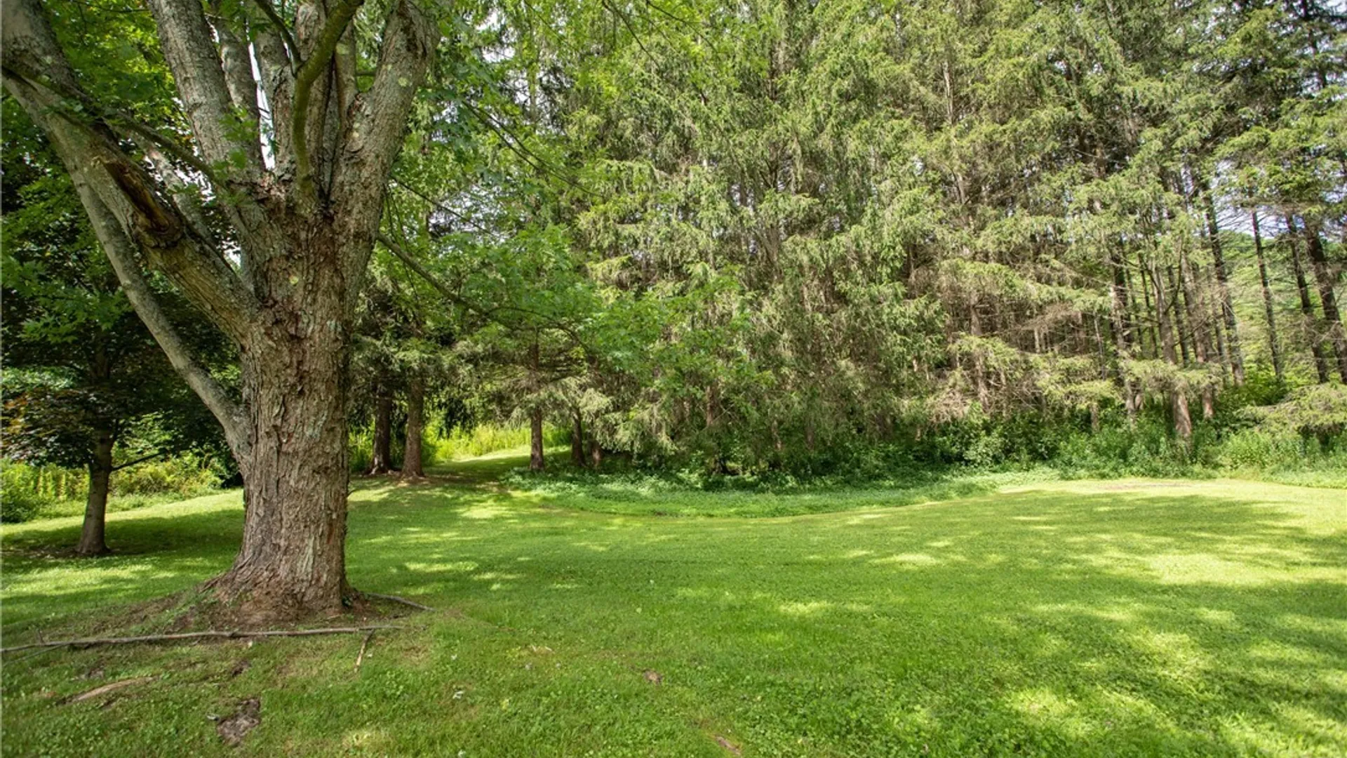 Property at 8088 Route 242, Little Valley, NY 14779 3