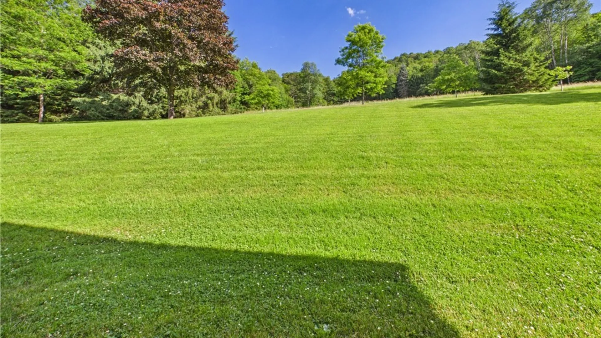 Property at 657 Reilly Hollow, Keating Town, PA 16749 41