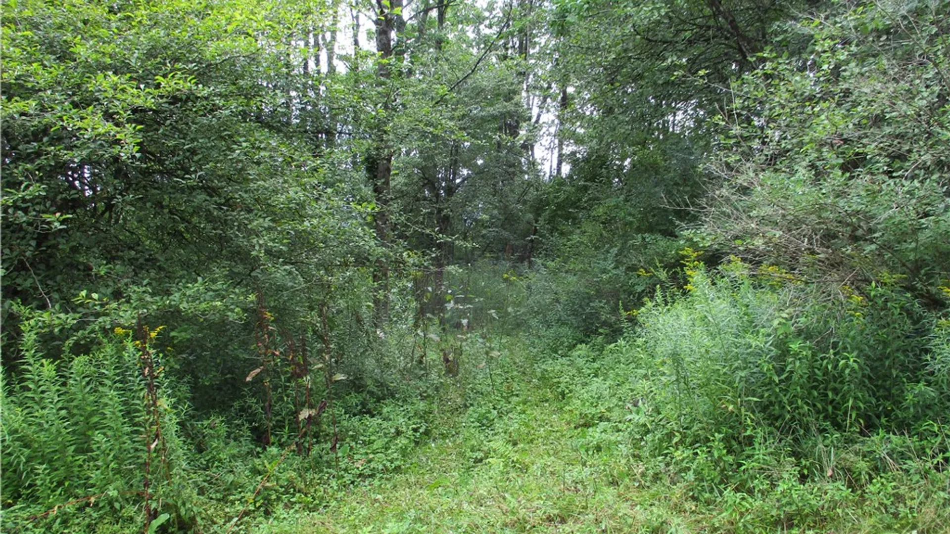 Property at 318 Shumway Hill Road, Guilford, NY 13780 9