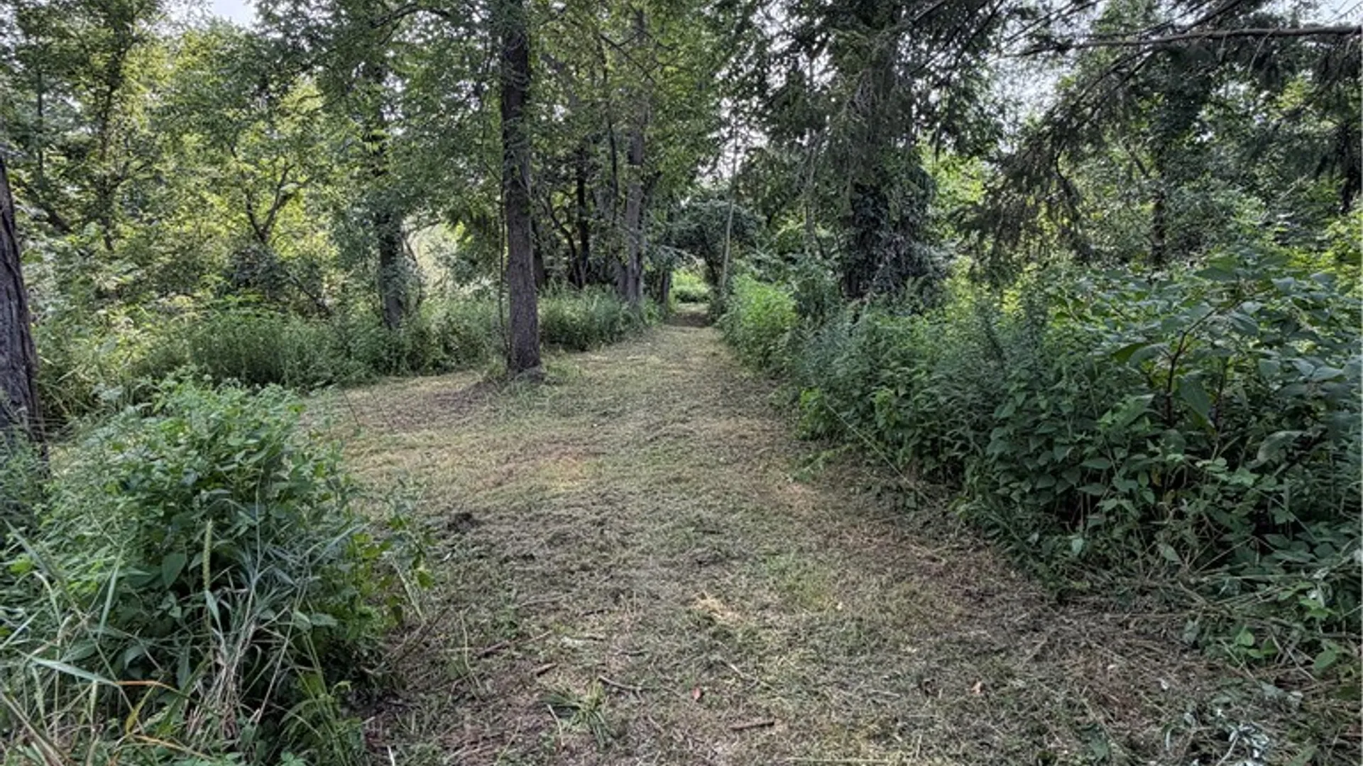 Property at 119 Burnt Mill Road, Riga, NY 14428 26