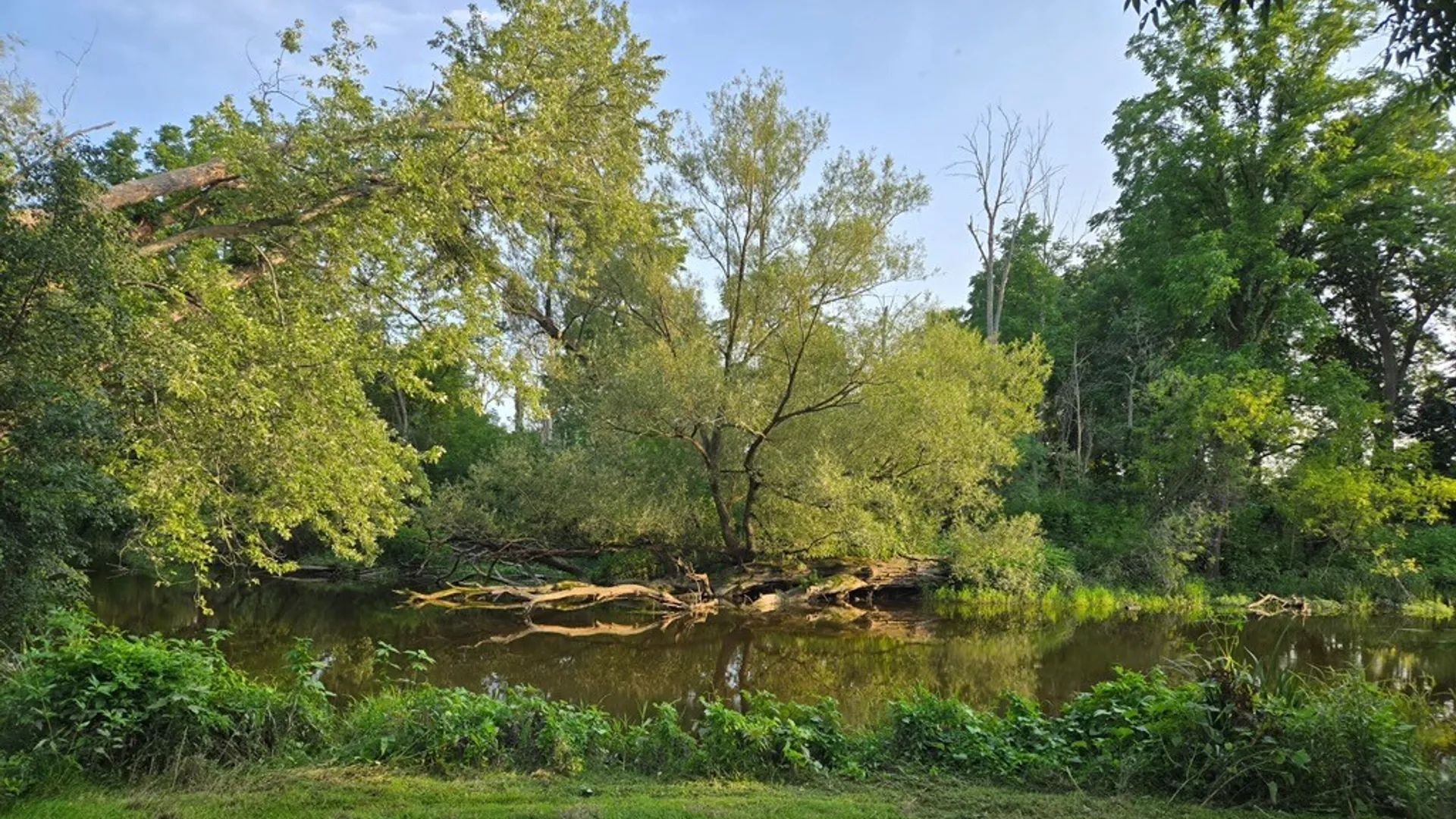 Property at 119 Burnt Mill Road, Riga, NY 14428 21