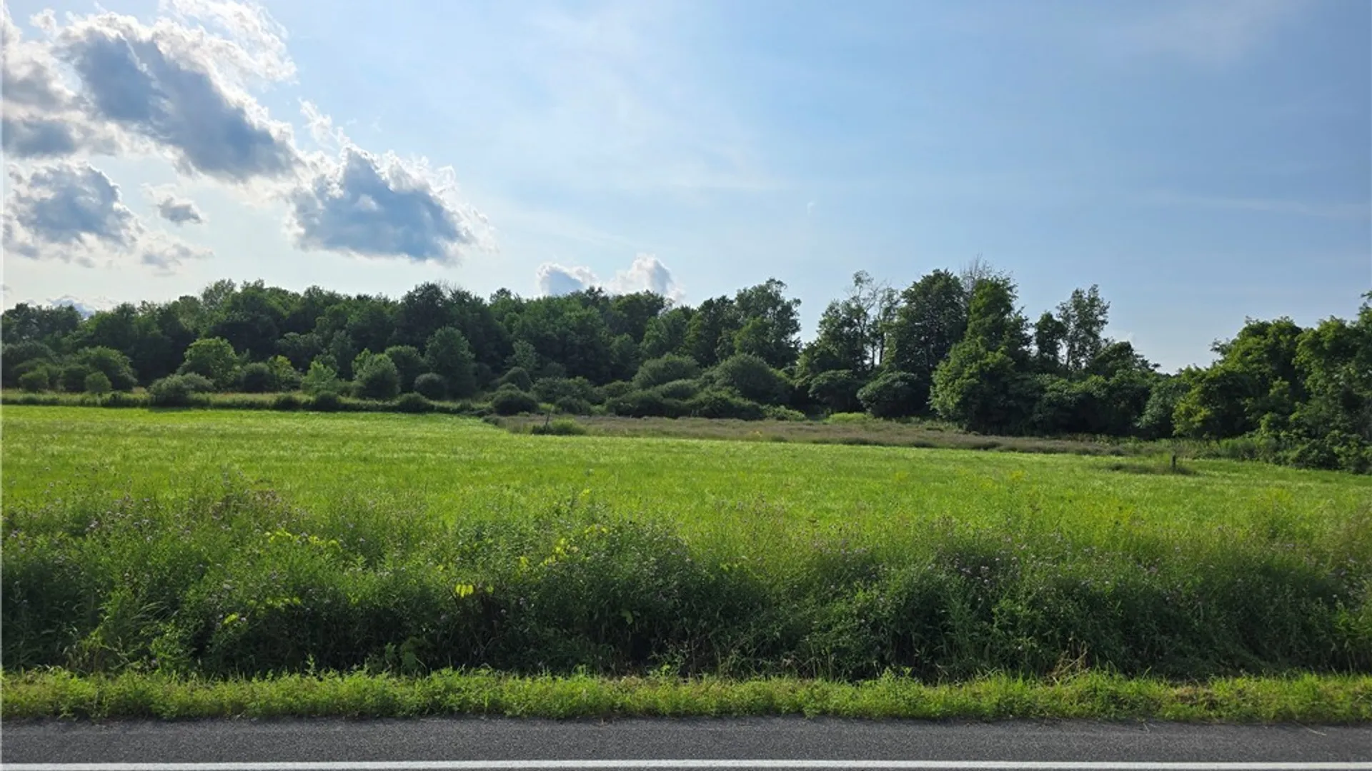 Property at Berry Road, Lafayette, NY 13084 3