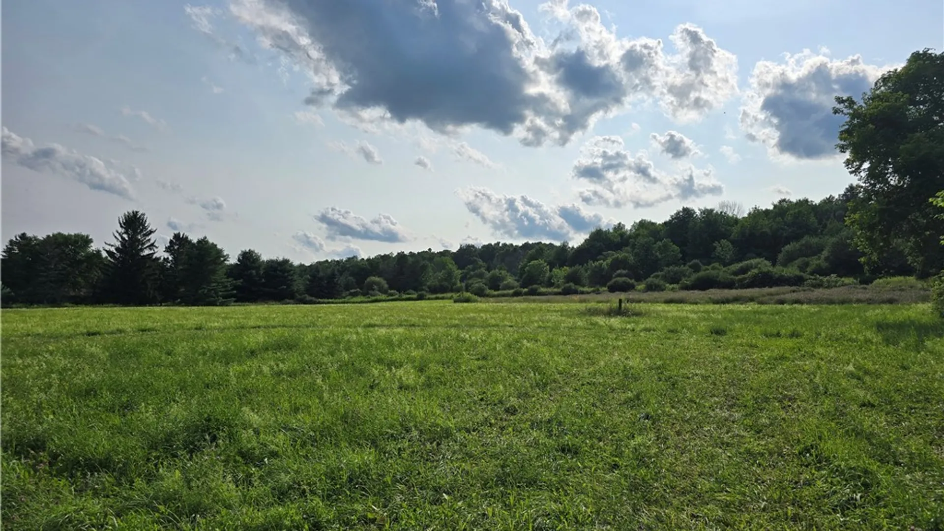 Property at Berry Road, Lafayette, NY 13084 4