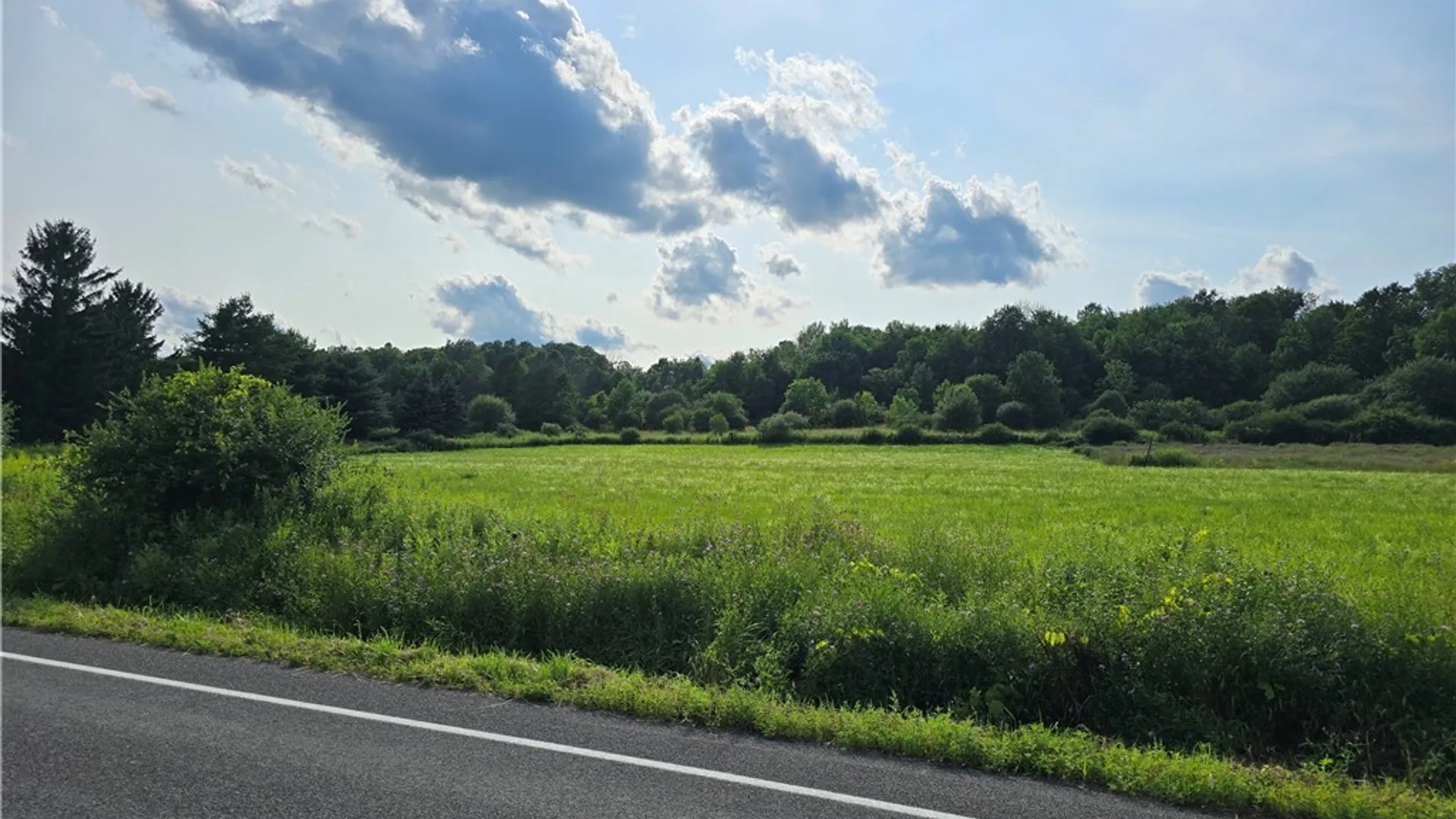 Property at Berry Road, Lafayette, NY 13084 5