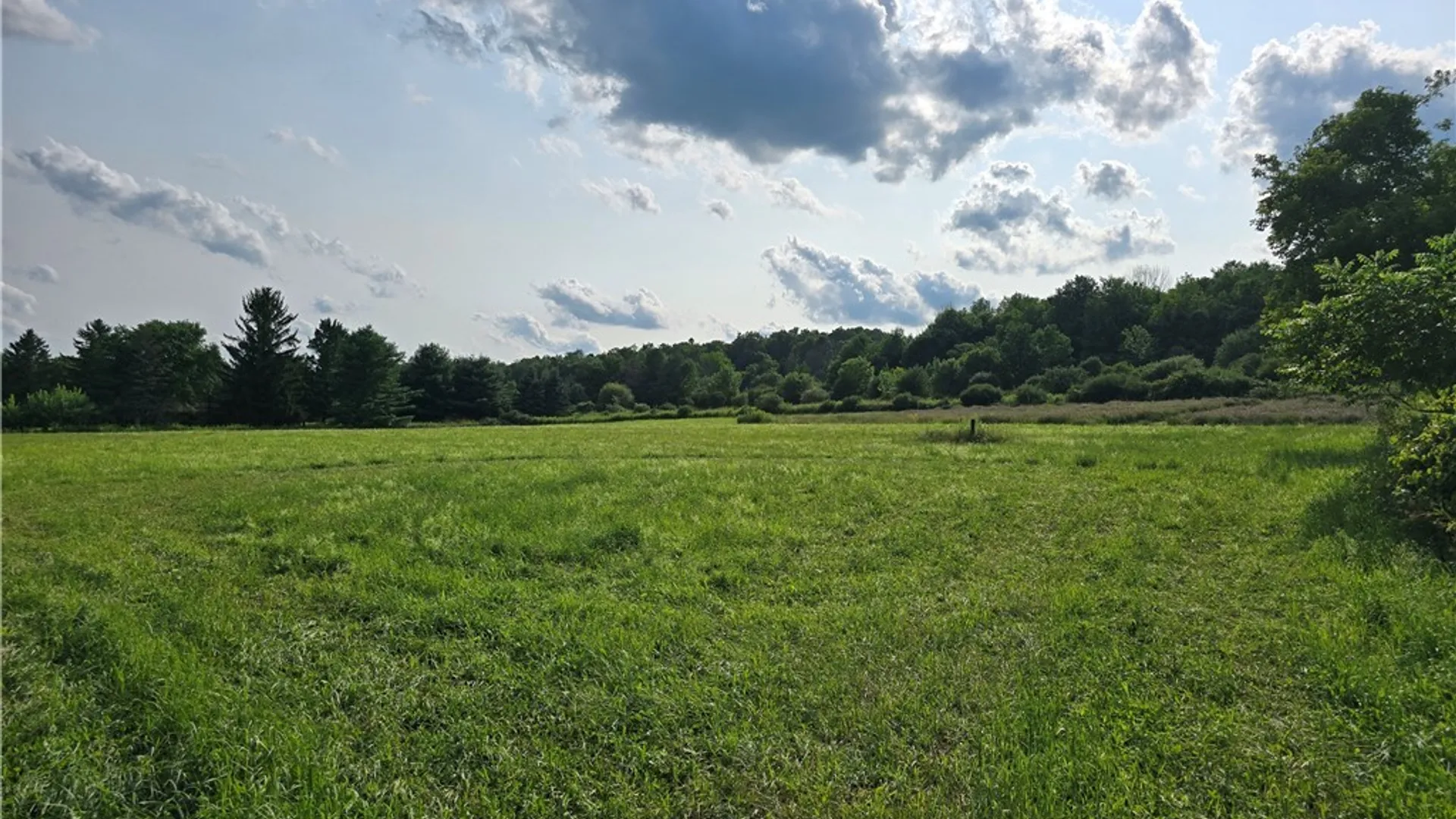 Property at Berry Road, Lafayette, NY 13084 6