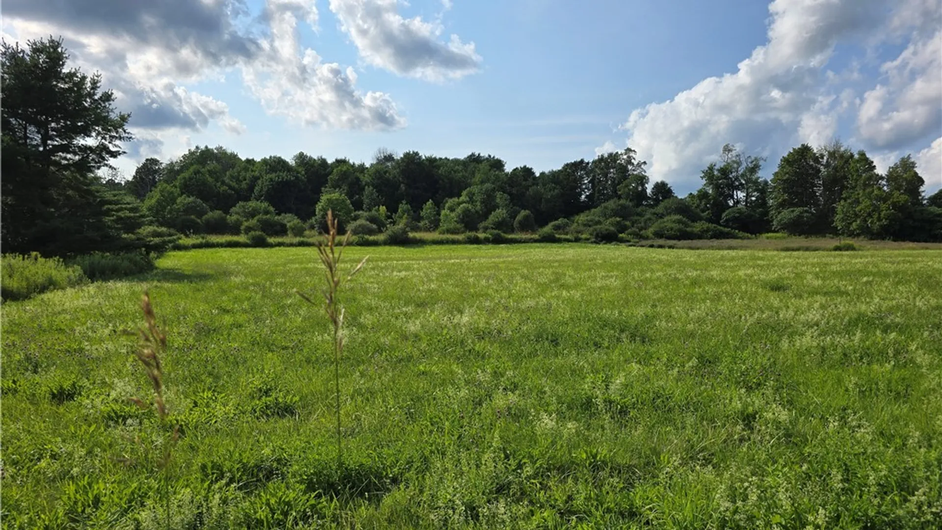 Property at Berry Road, Lafayette, NY 13084 8
