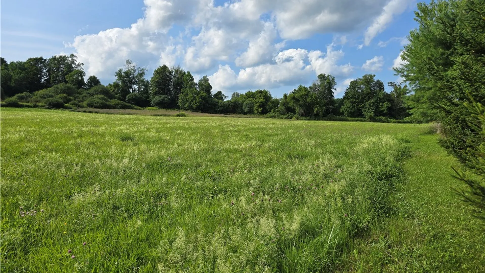 Property at Berry Road, Lafayette, NY 13084 9