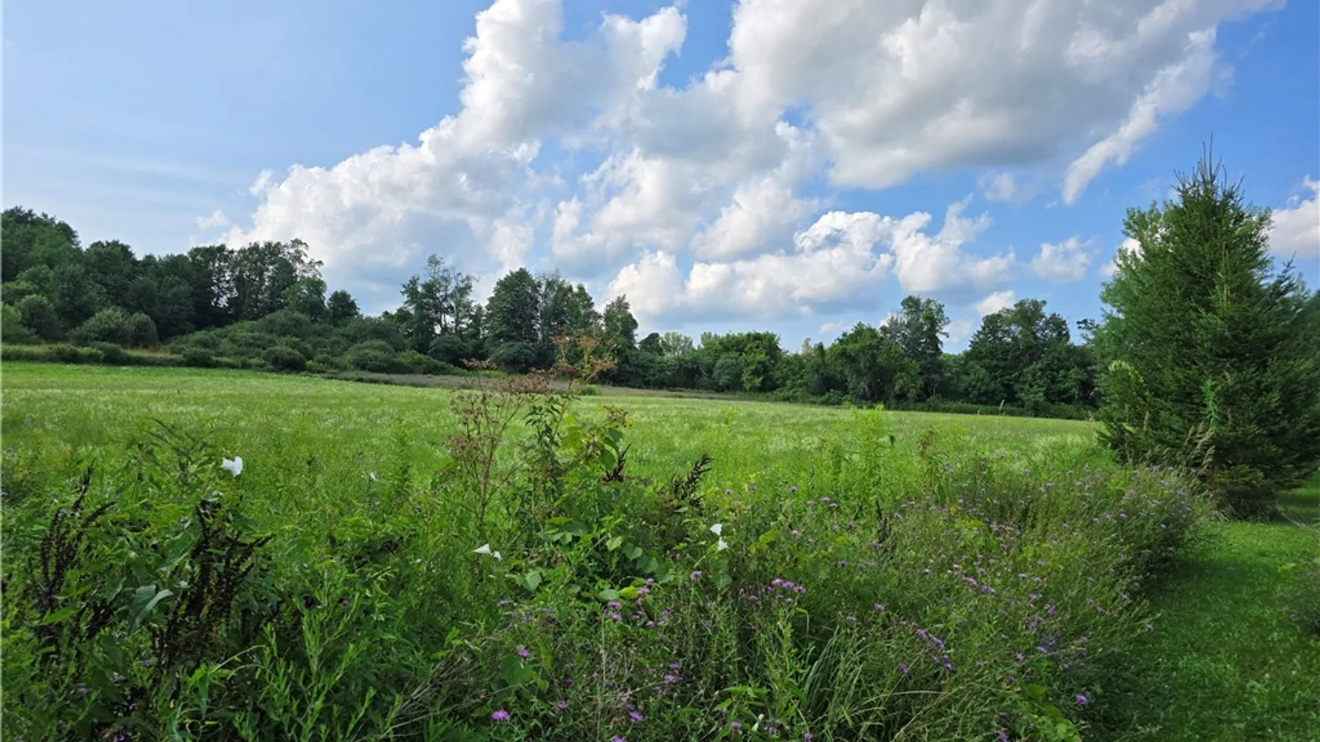 Property at Berry Road, Lafayette, NY 13084 6