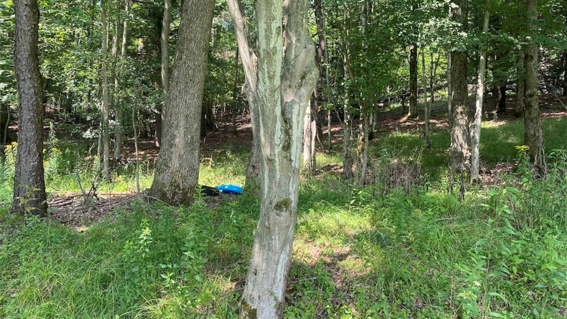 Property at 1873 County Road 18, Alma, NY 14895 20