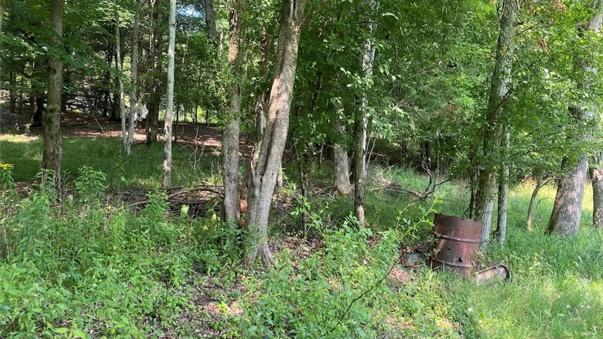Property at 1873 County Road 18, Alma, NY 14895 21