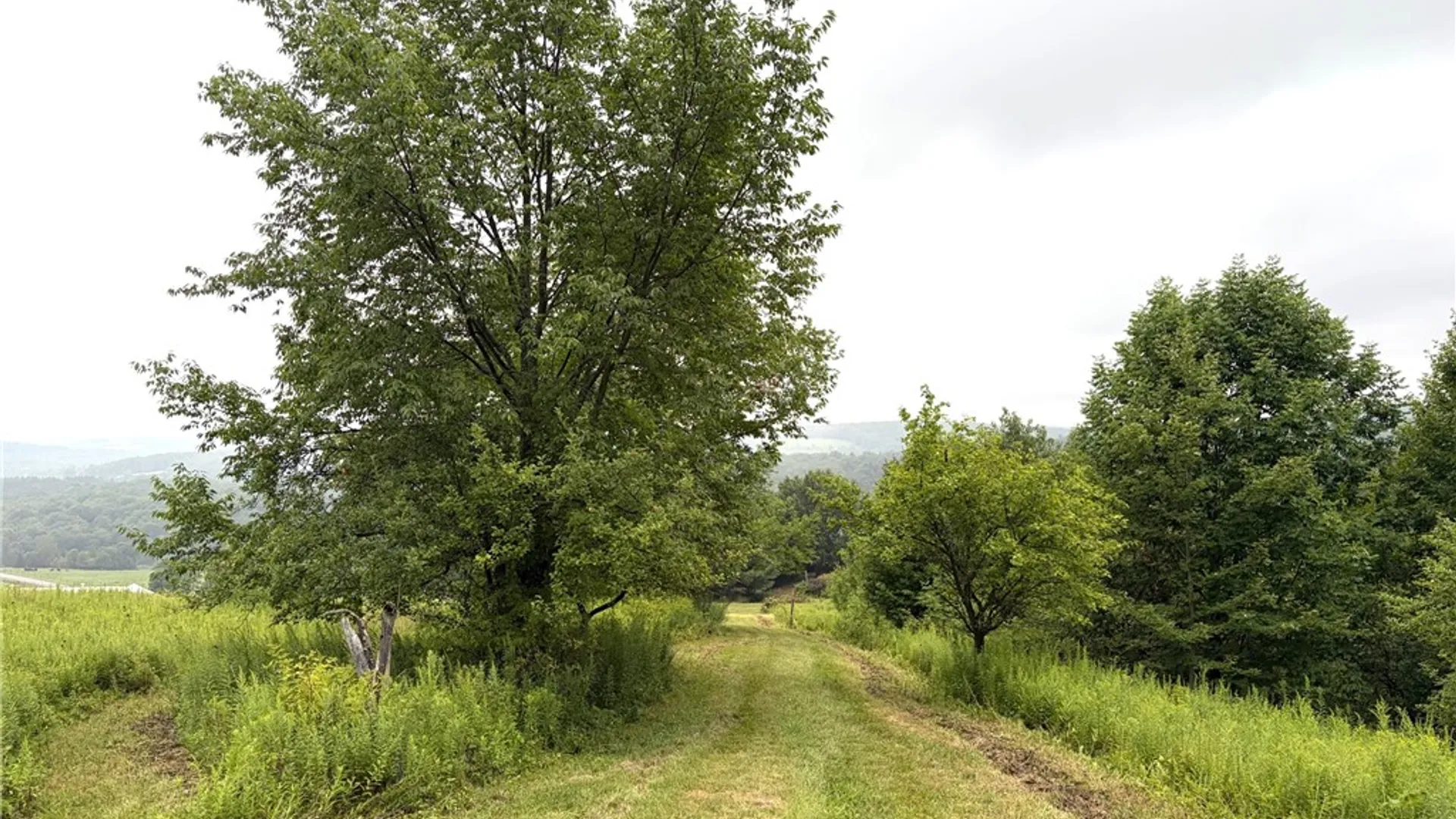 Property at 10005 Sawmill Run Road, Napoli, NY 14755 18