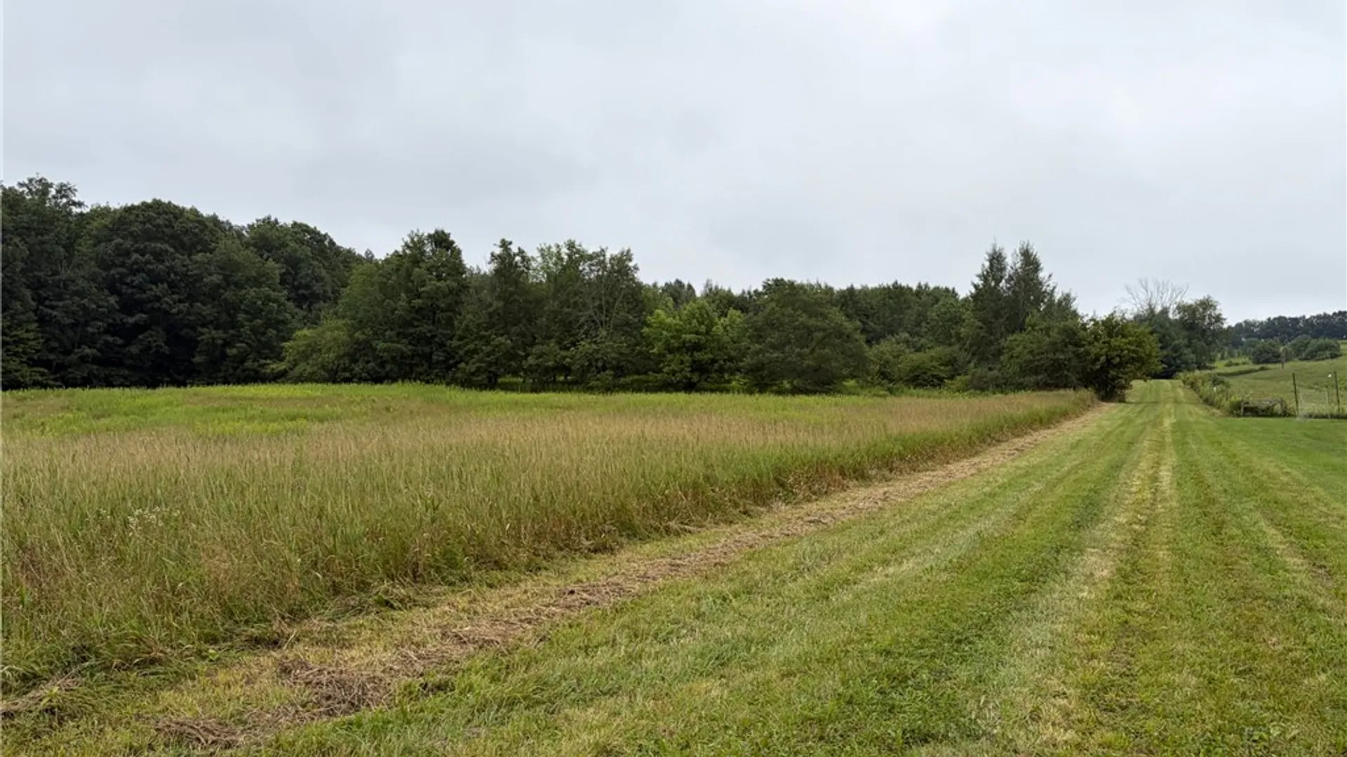 Property at 10005 Sawmill Run Road, Napoli, NY 14755 20