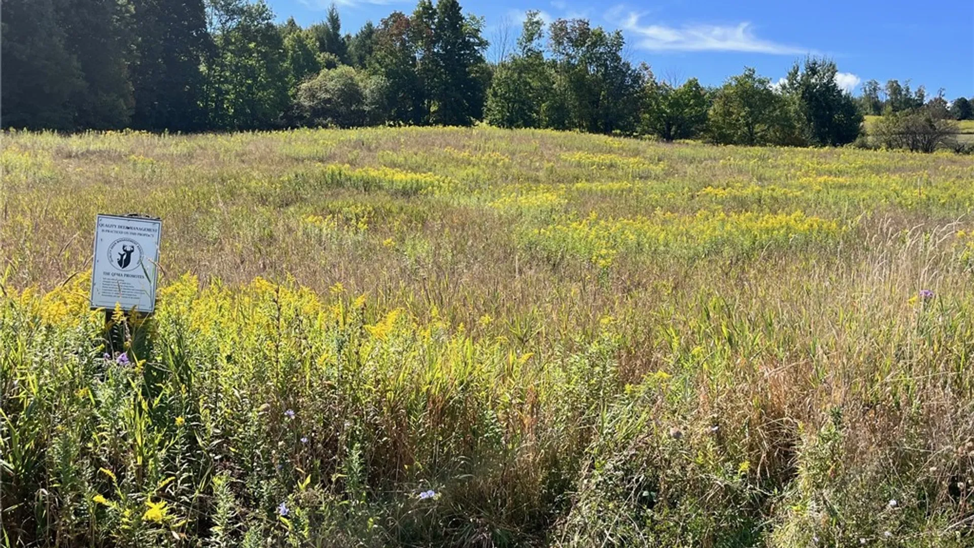 Property at 10005 Sawmill Run Road, Napoli, NY 14755 21