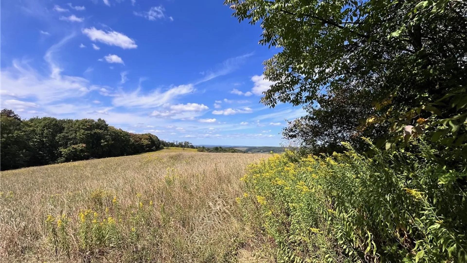 Property at 10005 Sawmill Run Road, Napoli, NY 14755 22