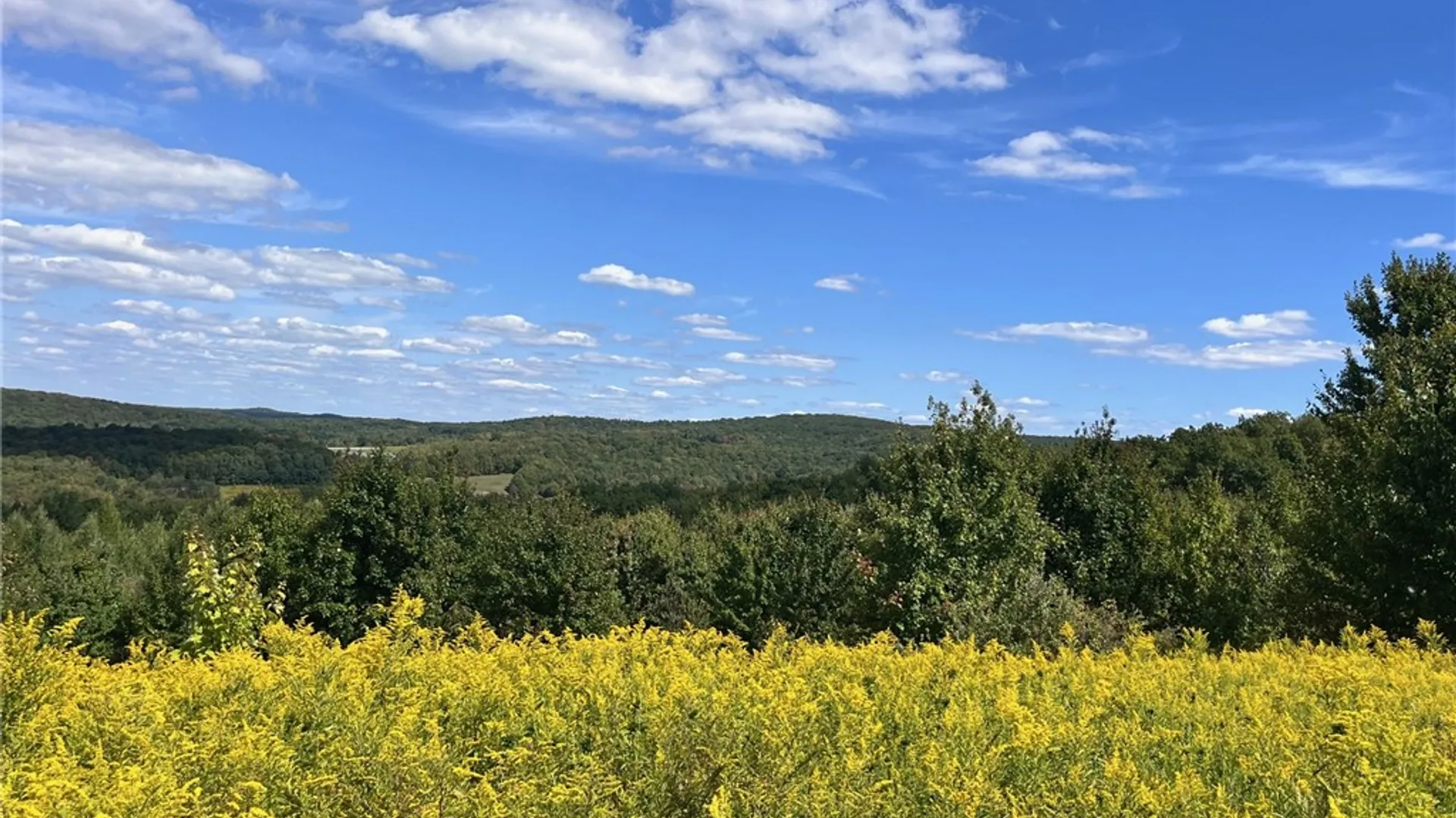 Property at 10005 Sawmill Run Road, Napoli, NY 14755 23