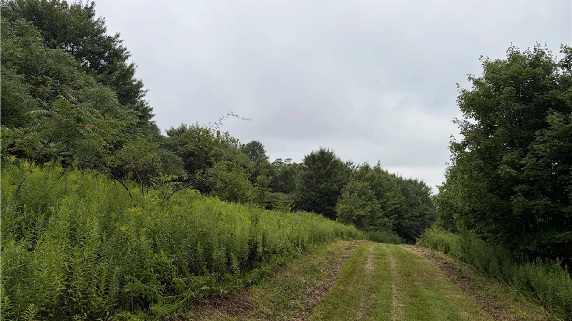 Property at 10005 Sawmill Run Road, Napoli, NY 14755 28