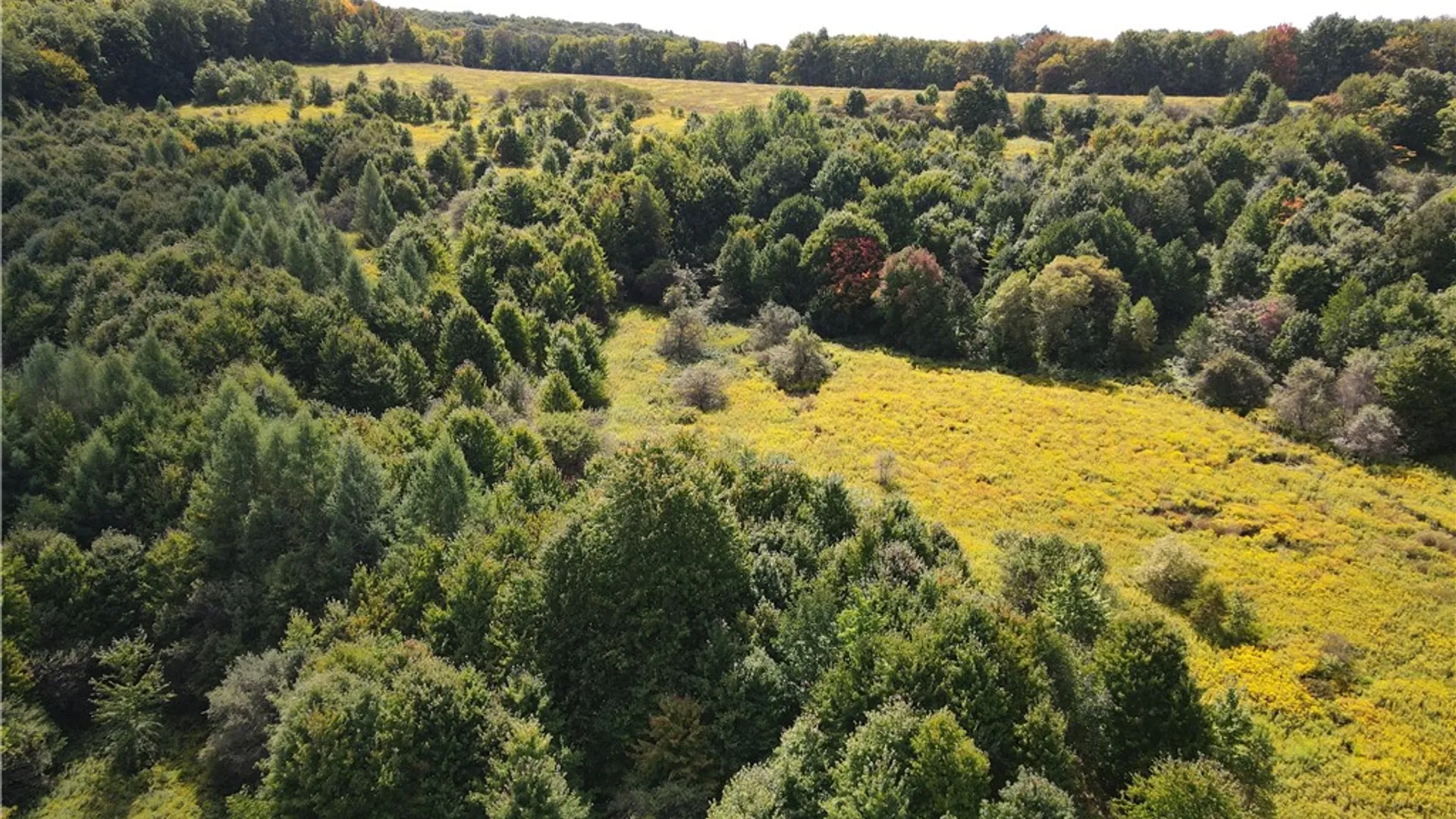 Property at 10005 Sawmill Run Road, Napoli, NY 14755 36