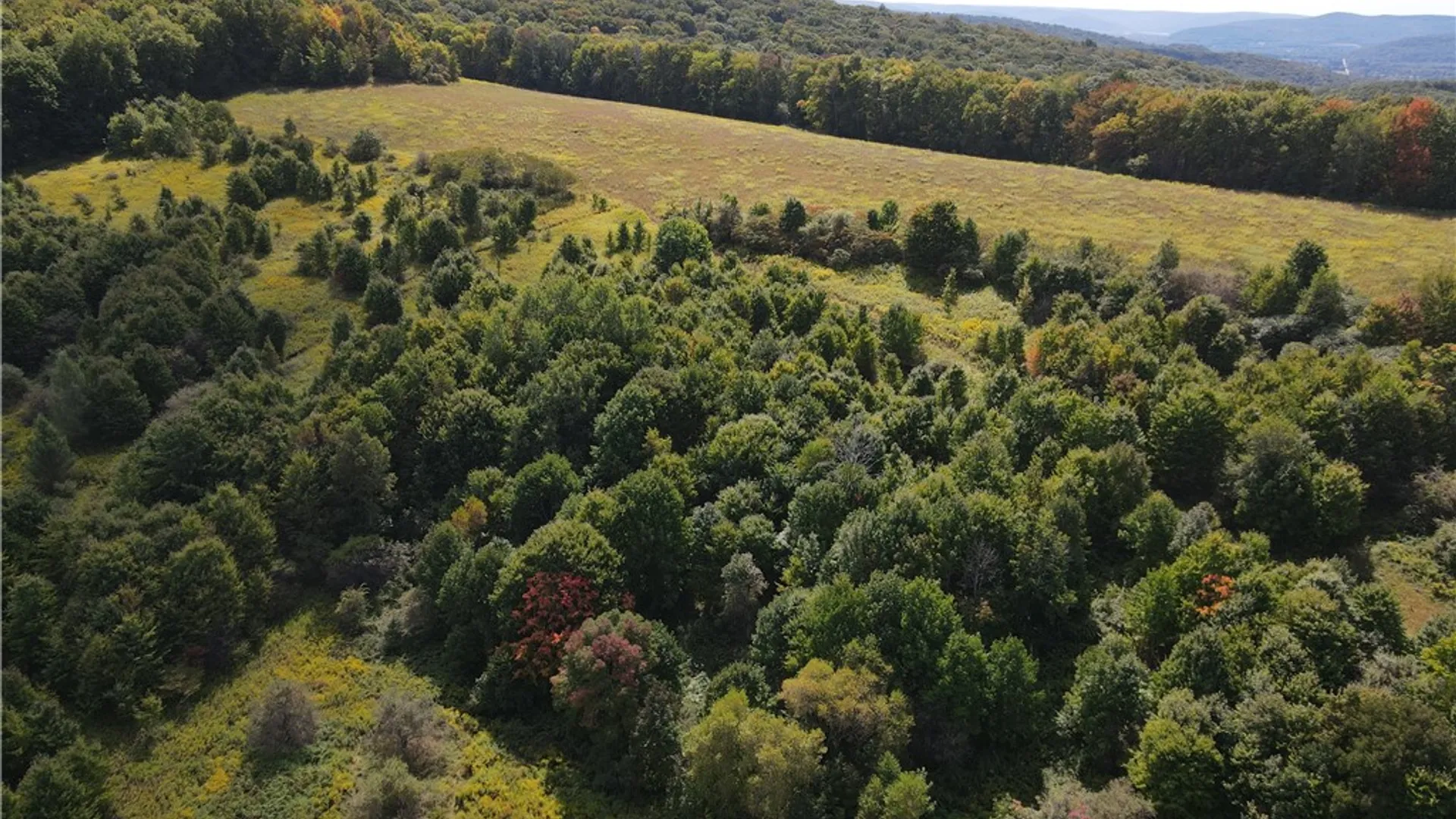Property at 10005 Sawmill Run Road, Napoli, NY 14755 38