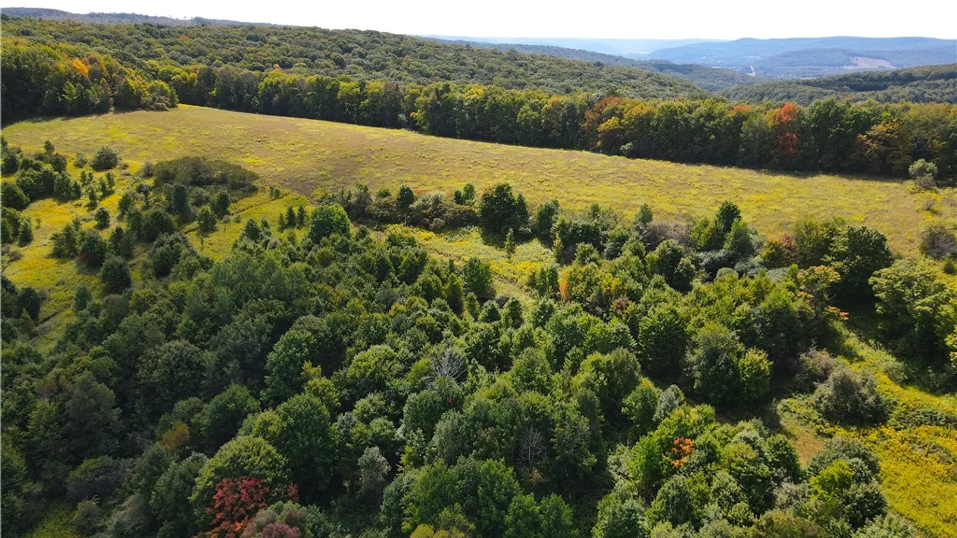 Property at 10005 Sawmill Run Road, Napoli, NY 14755 39
