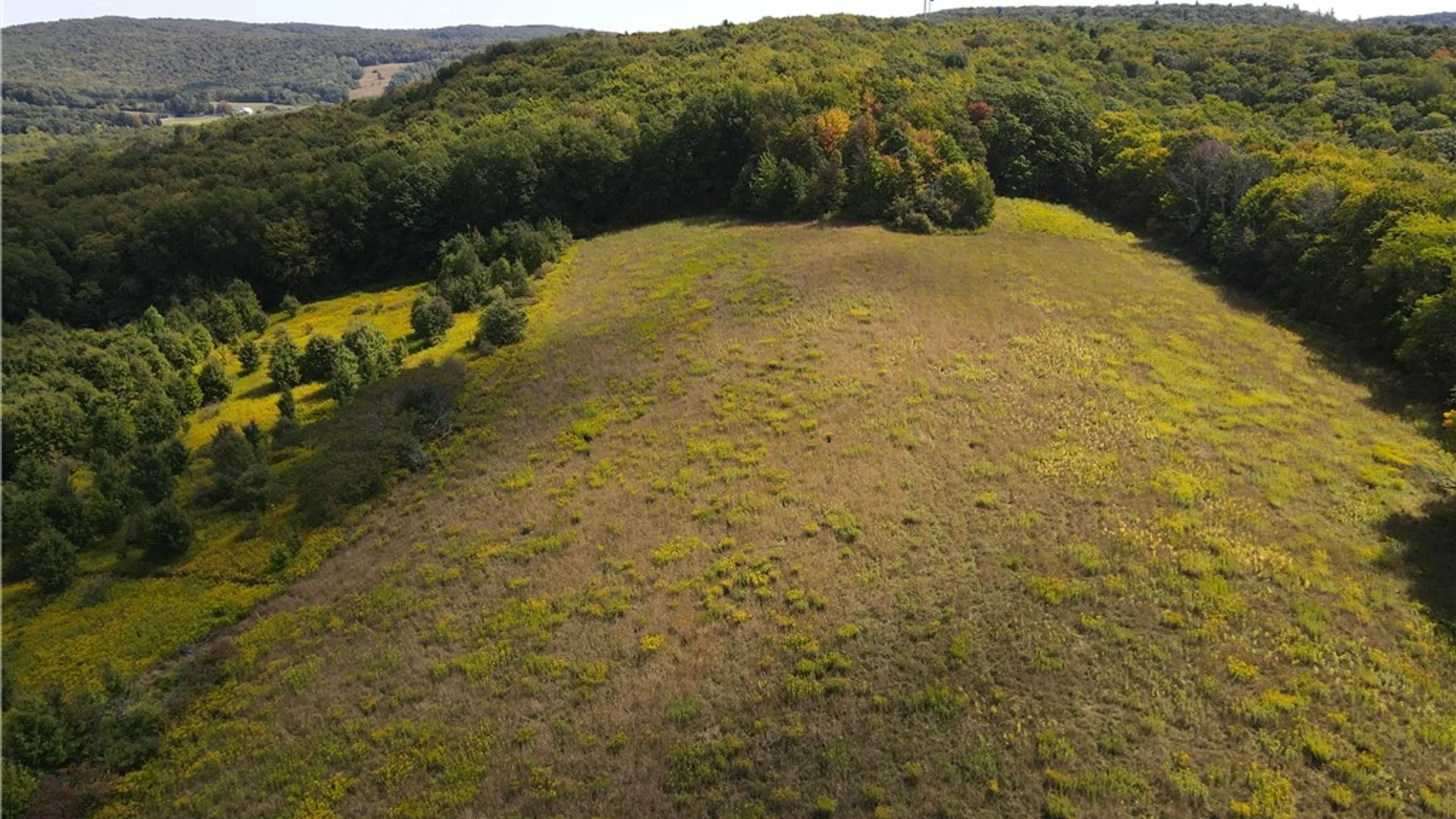 Property at 10005 Sawmill Run Road, Napoli, NY 14755 42