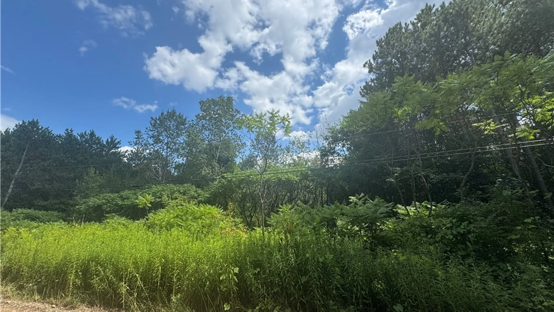 Property at Arnoldville Road, Diana, NY 13665 3