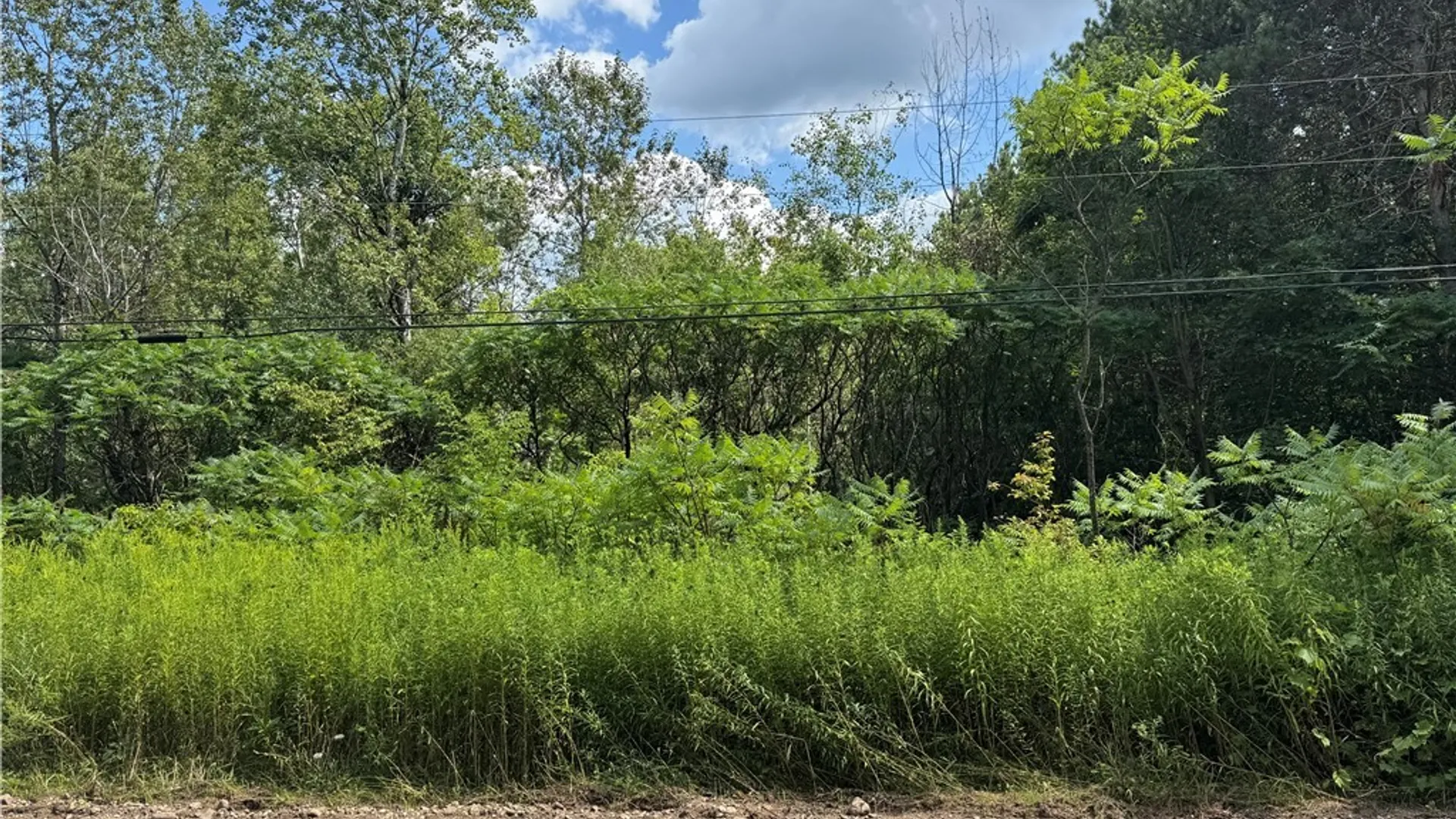 Property at Arnoldville Road, Diana, NY 13665 5