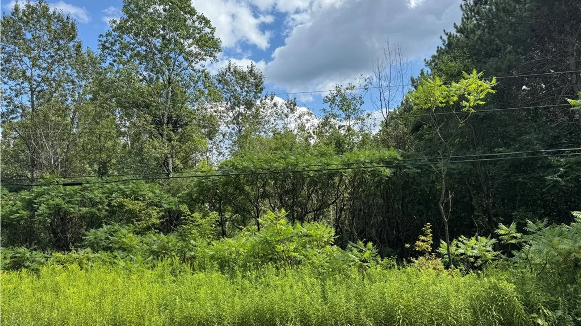 Property at Arnoldville Road, Diana, NY 13665 6