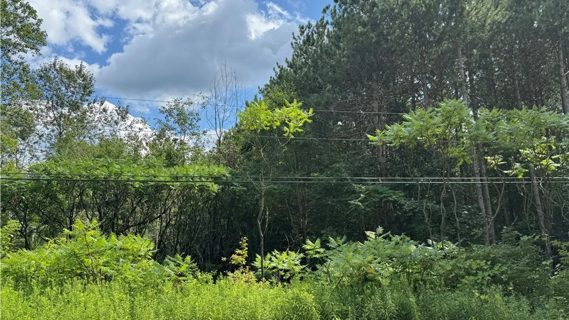 Property at Arnoldville Road, Diana, NY 13665 7