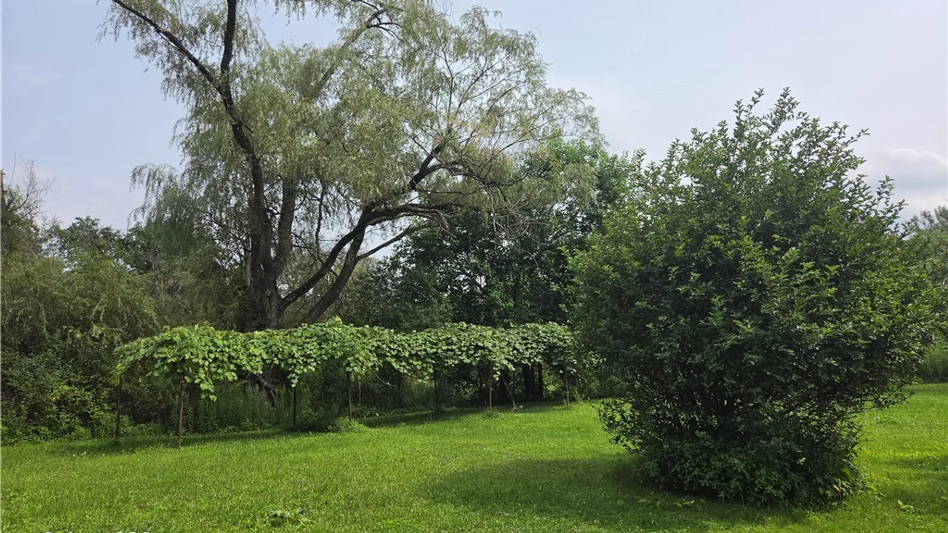 Property at 9670 Route 446, Cuba, NY 14727 4