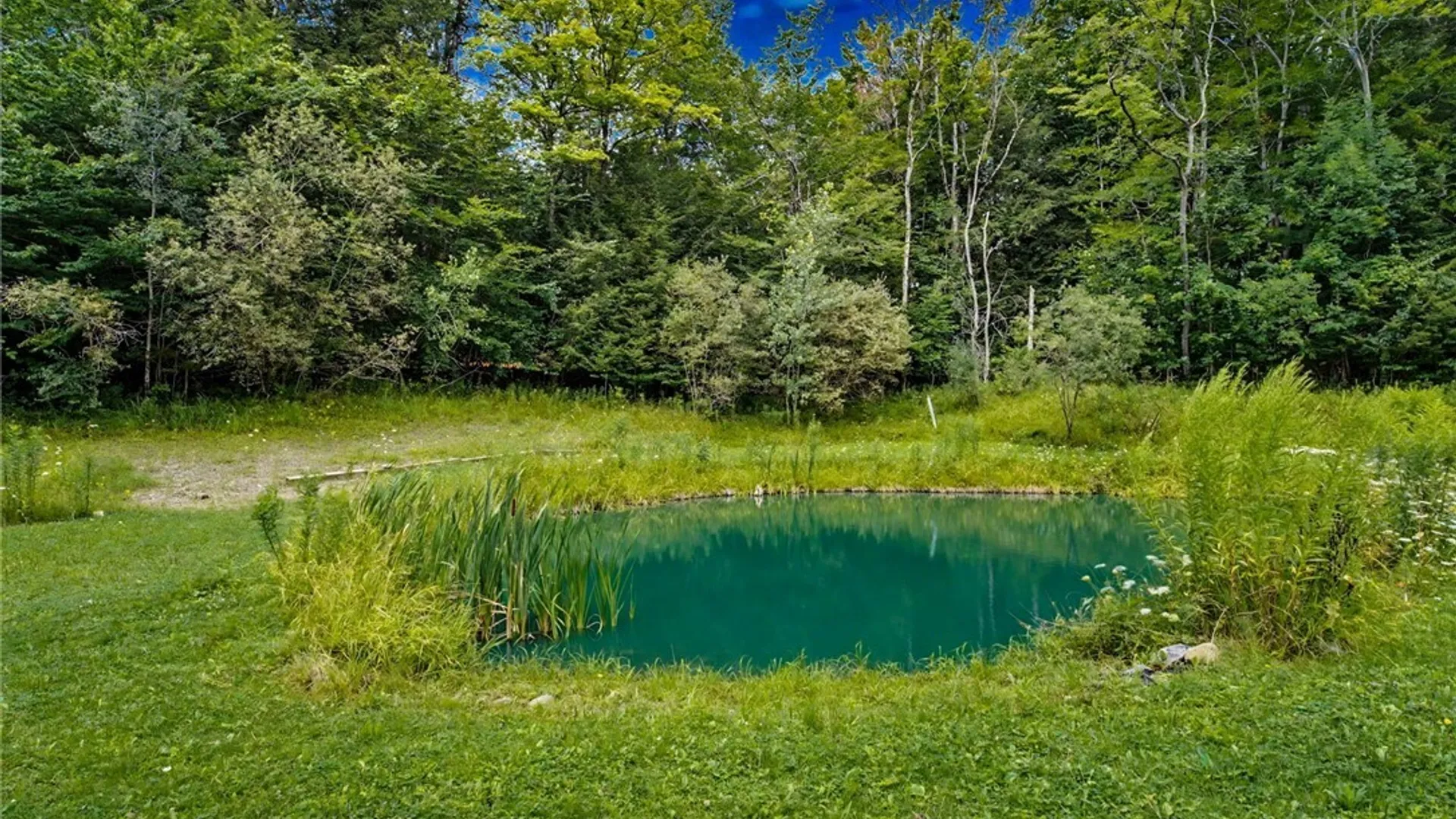 Property at 12358 Pine Vly, Holland, NY 14080 20