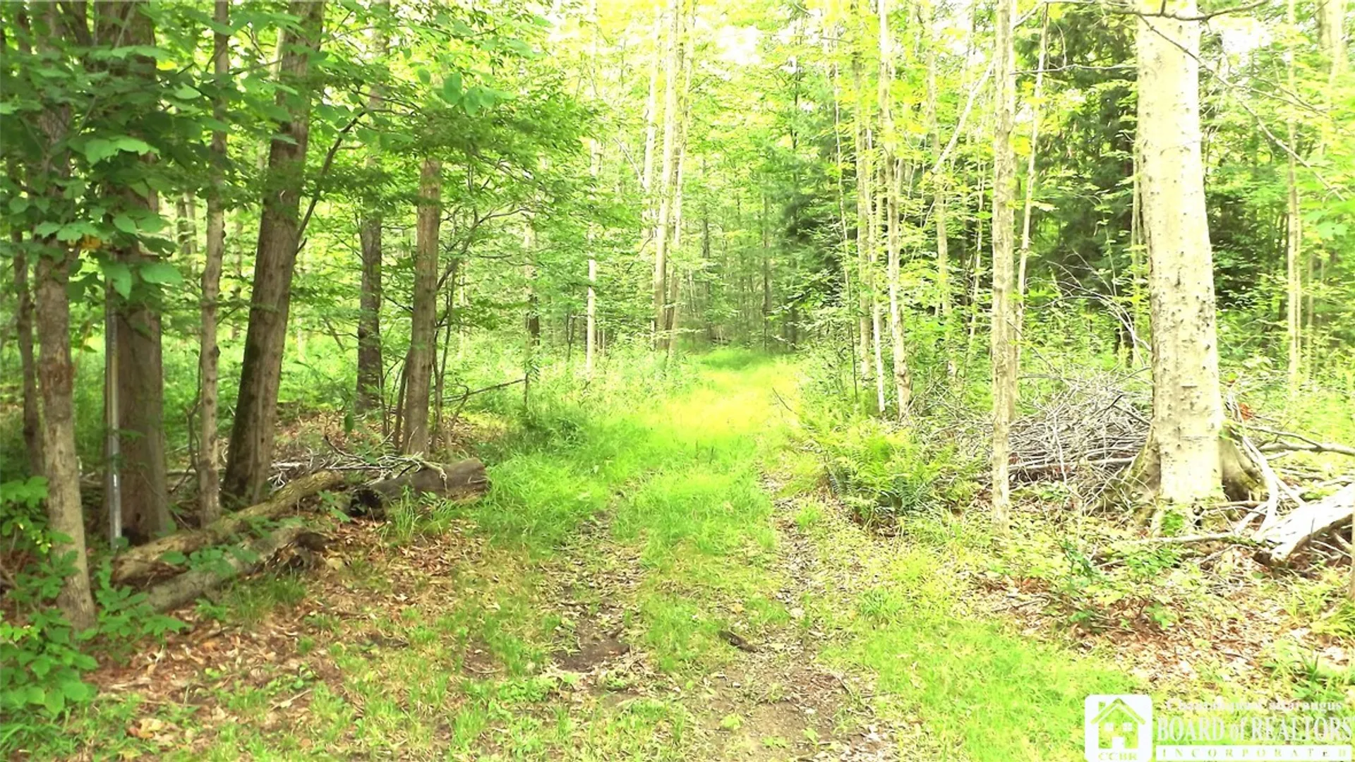 Property at 5220 Madden Rd., Harmony, NY 14767 11