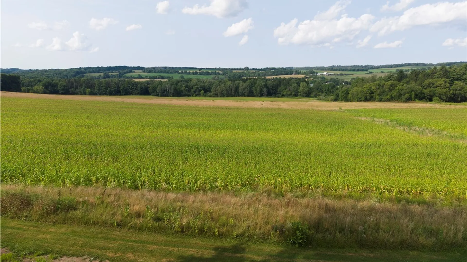 Property at 5170 State Route 38a, Owasco, NY 13021 34