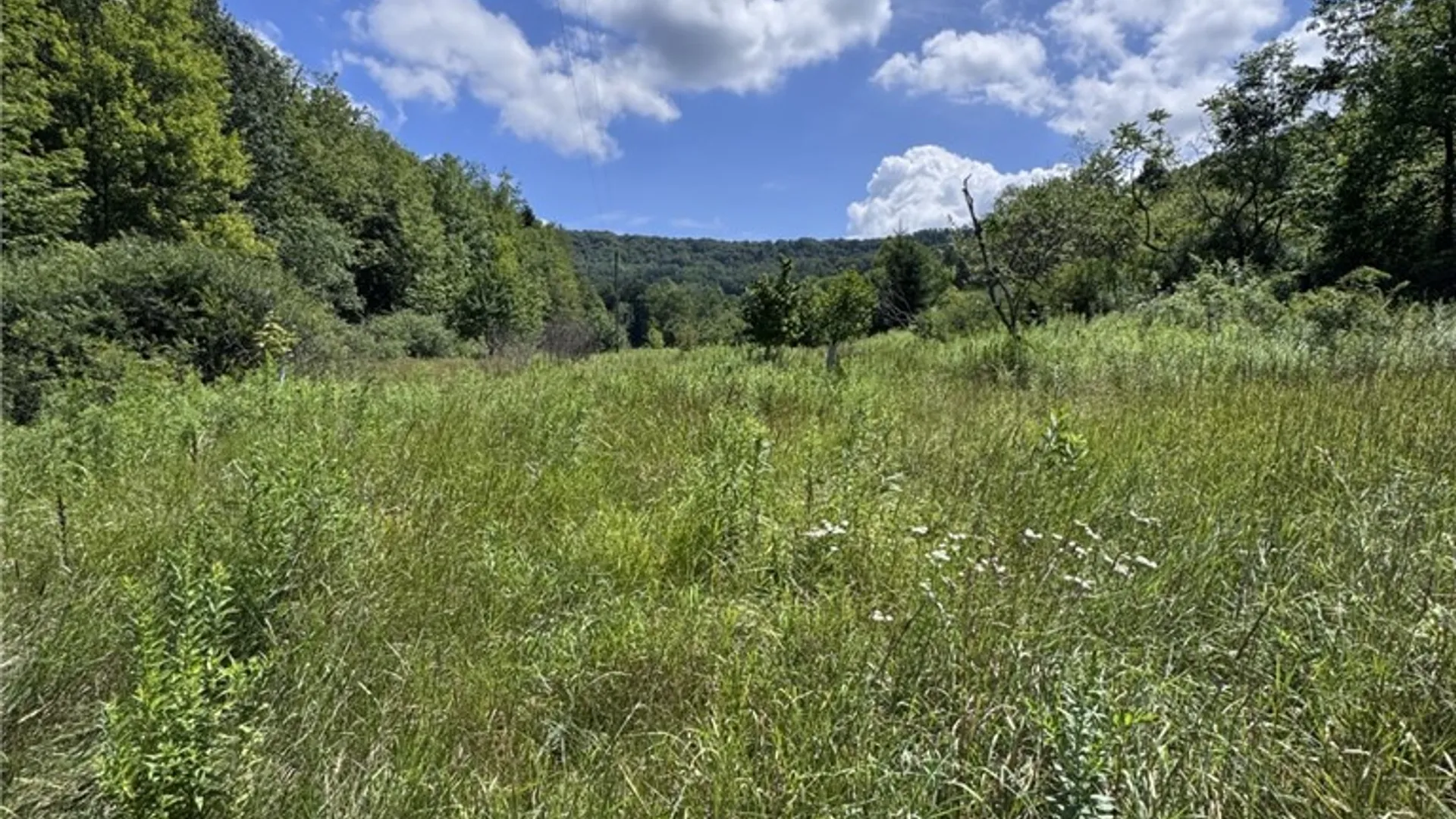 Property at 114 Gleason, Annin Twp, PA 16743 7