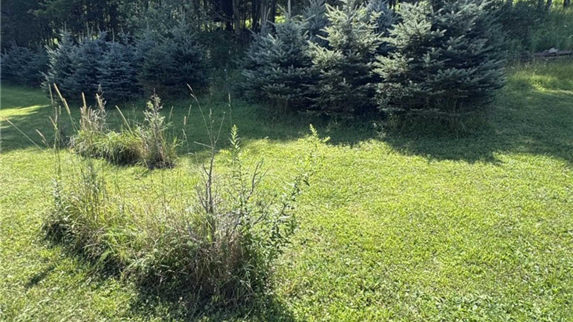 Property at 114 Gleason, Annin Twp, PA 16743 34