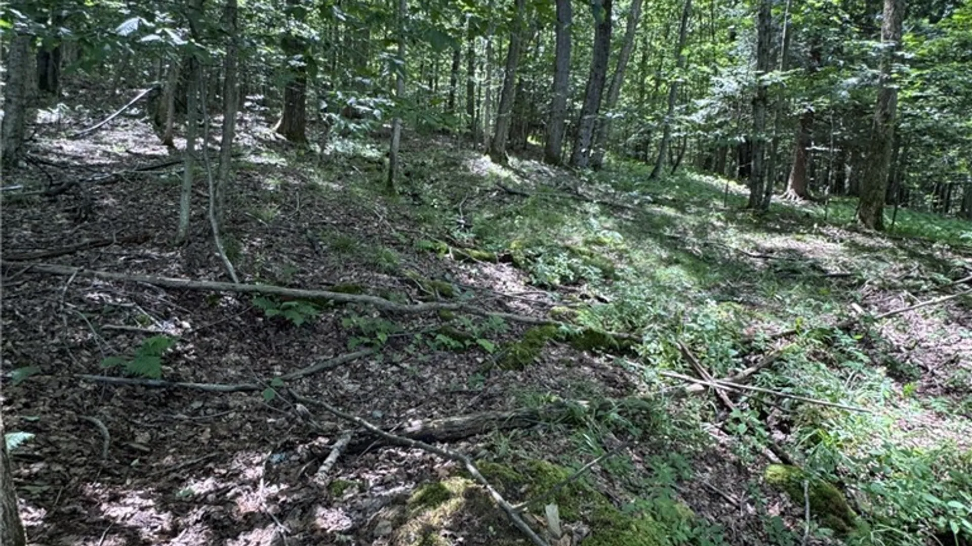 Property at 114 Gleason, Annin Twp, PA 16743 41