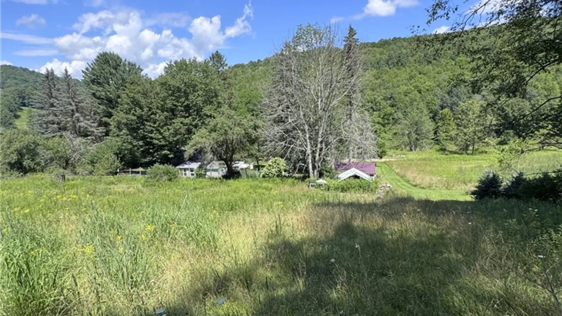 Property at 114 Gleason, Annin Twp, PA 16743 39