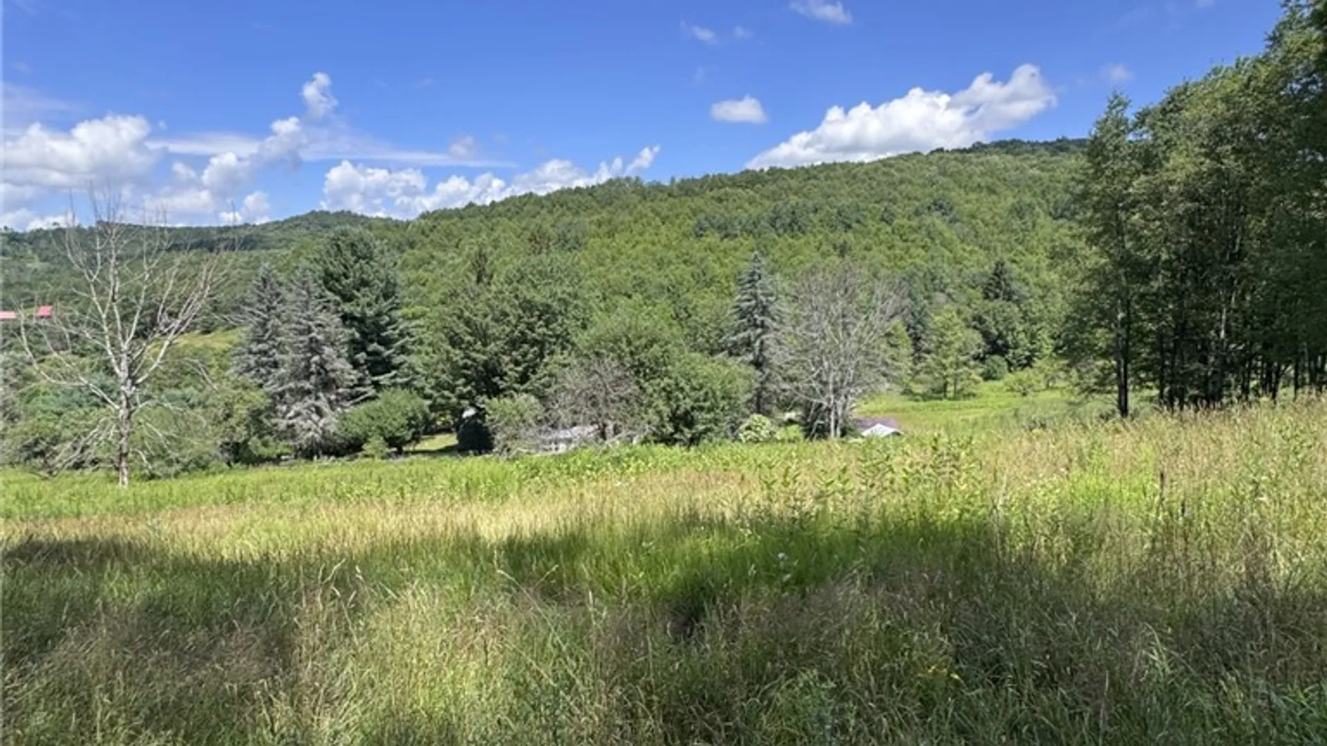 Property at 114 Gleason, Annin Twp, PA 16743 6