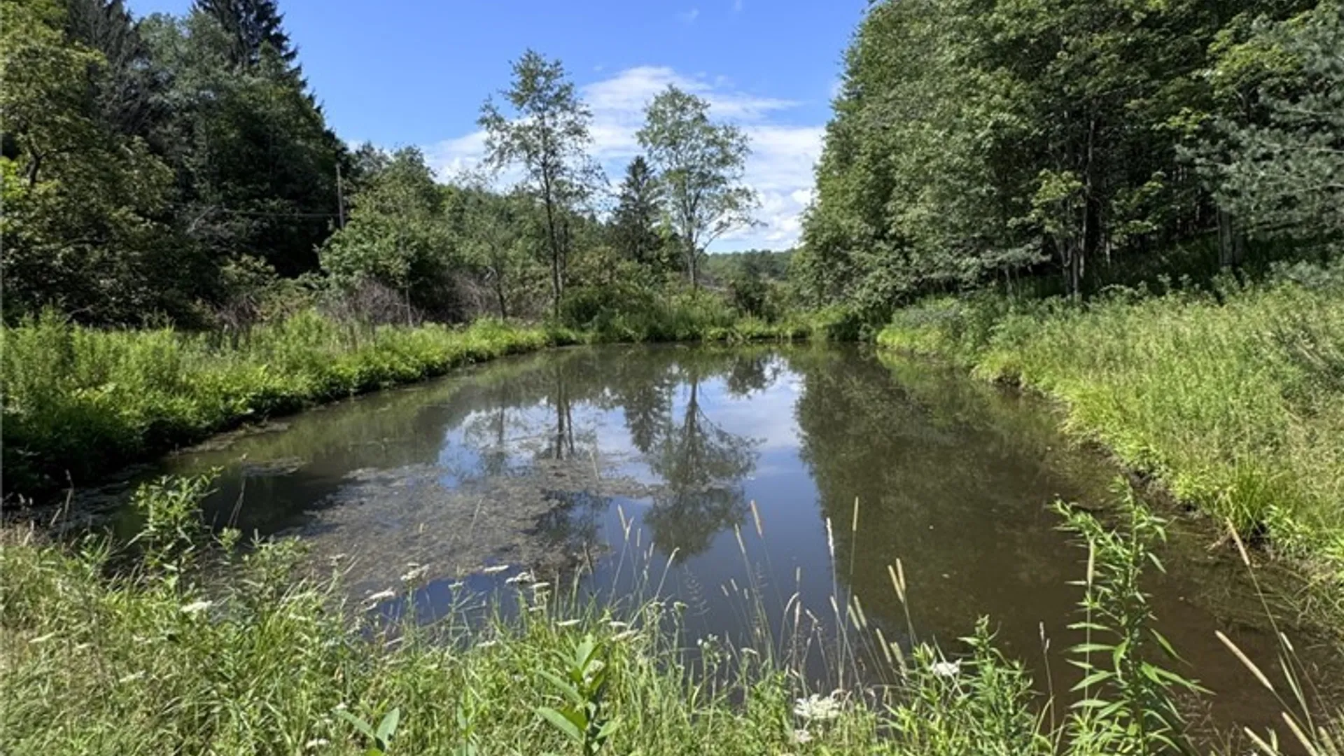 Property at 114 Gleason, Annin Twp, PA 16743 4