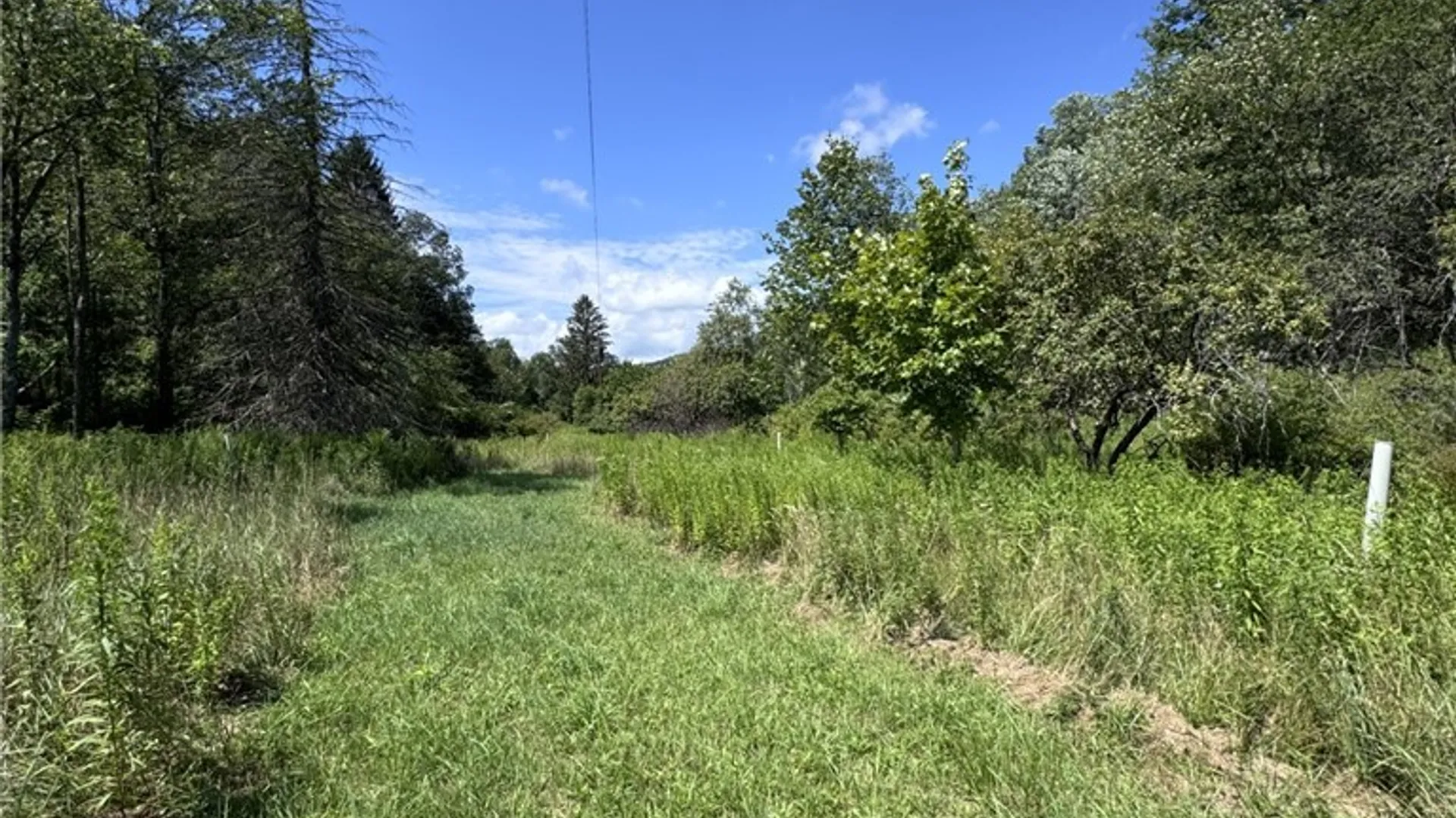 Property at 114 Gleason, Annin Twp, PA 16743 40