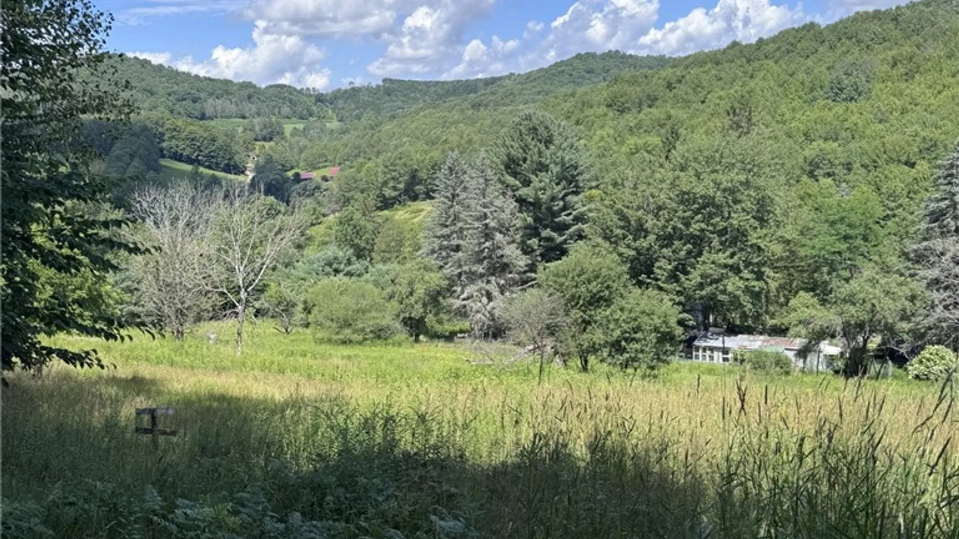 Property at 114 Gleason, Annin Twp, PA 16743 43
