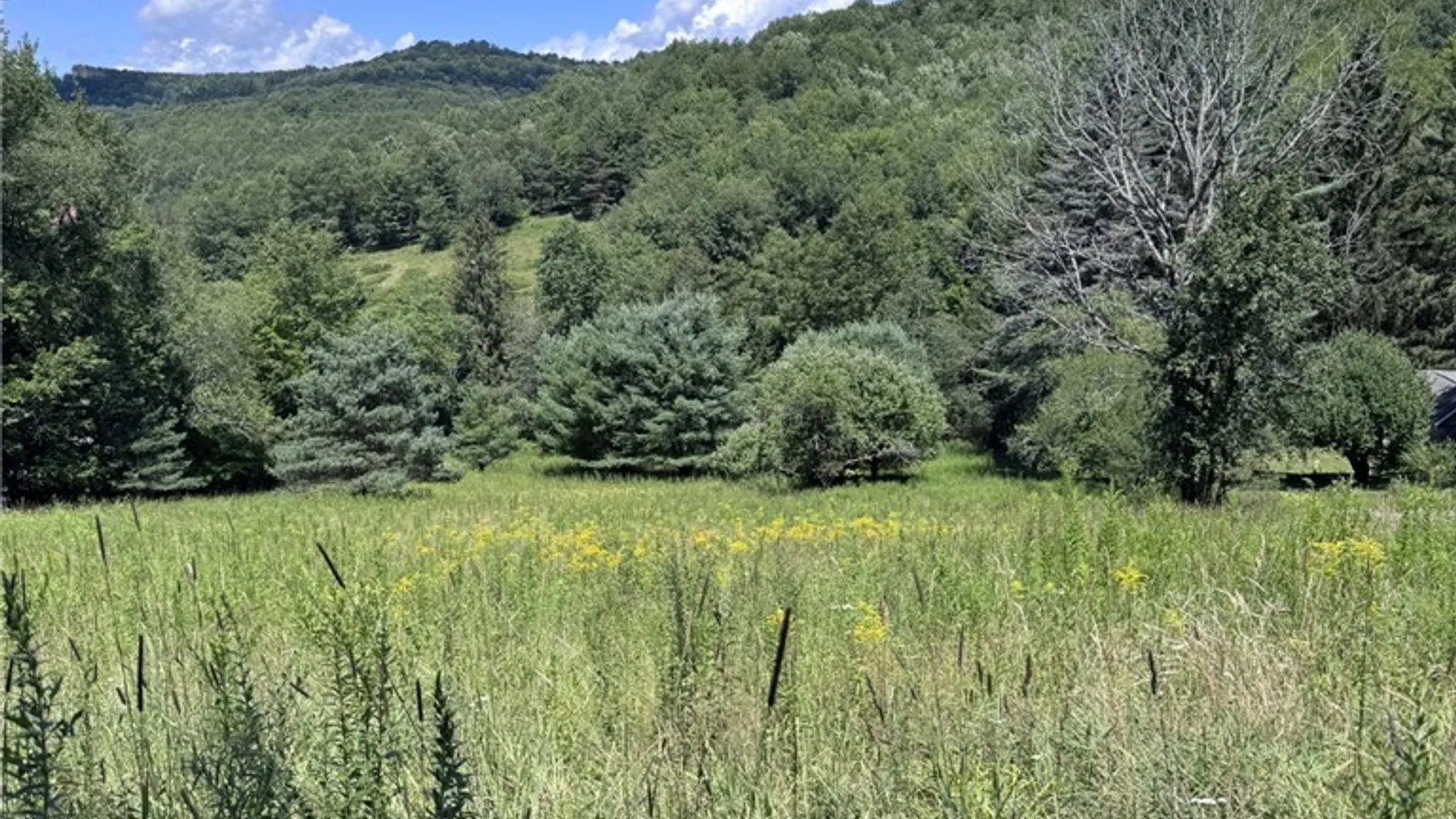Property at 114 Gleason, Annin Twp, PA 16743 42