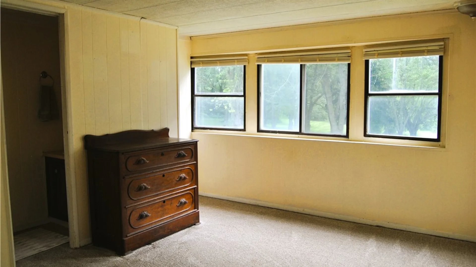 Property at 40 Parkview Drive, Avon, NY 14414 13