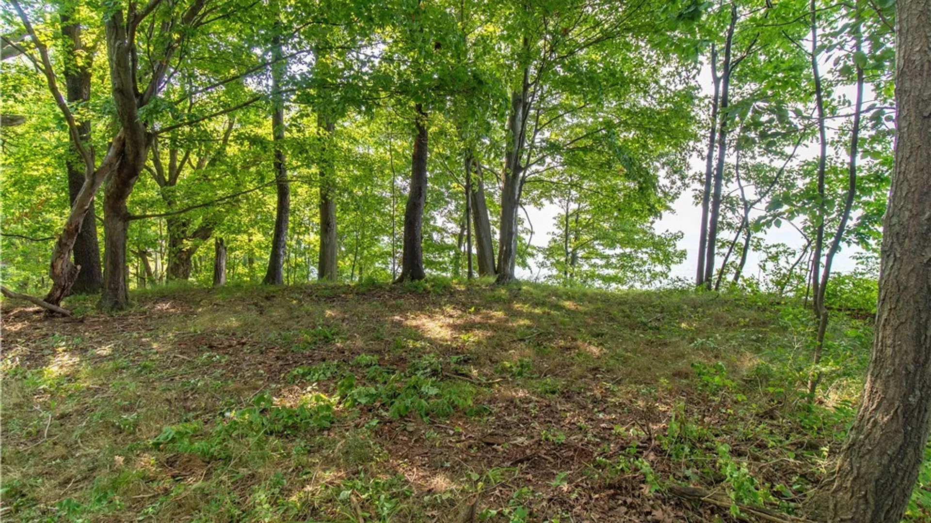 Property at 10283 W Lake Road, Ripley, NY 14775 8