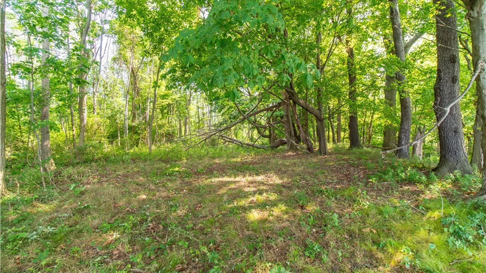 Property at 10283 W Lake Road, Ripley, NY 14775 16